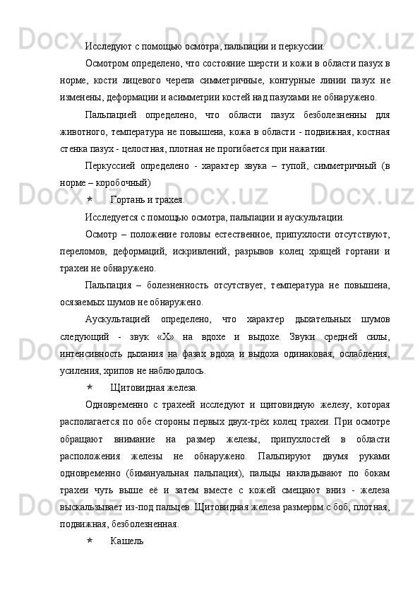 Исследуют с помощью осмотра, пальпации и перкуссии.
Осмотром определено, что состояние шерсти и кожи в области пазух в
норме,   кости   лицевого   черепа   симметричные,   контурные   линии   пазух   не
изменены, деформации и асимметрии костей над пазухами не обнаружено. 
Пальпацией   определено,   что   области   пазух   безболезненны   для
животного,  температура  не повышена,   кожа в области - подвижная, костная
стенка пазух - целостная, плотная не прогибается при нажатии.
Перкуссией   определено   -   характер   звука   –   тупой,   симметричный   (в
норме – коробочный)
 Гортань и трахея. 
Исследуется с   помощью осмотра, пальпации и аускультации.
Осмотр   –   положение   головы   естественное,   припухлости   отсутствуют,
переломов,   деформаций,   искривлений,   разрывов   колец   хрящей   гортани   и
трахеи не обнаружено.
Пальпация   –   болезненность   отсутствует,   температура   не   повышена,
осязаемых шумов не обнаружено.
Аускультацией   определено,   что   характер   дыхательных   шумов
следующий   -   звук   «Х»   на   вдохе   и   выдохе.   Звуки   средней   силы,
интенсивность   дыхания   на   фазах   вдоха   и   выдоха   одинаковая;   ослабления,
усиления, хрипов не наблюдалось.
 Щитовидная железа. 
Одновременно   с   трахеей   исследуют   и   щитовидную   железу,   которая
располагается   по  обе   стороны  первых  двух-трёх   колец  трахеи.  При  осмотре
обращают   внимание   на   размер   железы,   припухлостей   в   области
расположения   железы   не   обнаружено.   Пальпируют   двумя   руками
одновременно   (бимануальная   пальпация),   пальцы   накладывают   по   бокам
трахеи   чуть   выше   её   и   затем   вместе   с   кожей   смещают   вниз   -   железа
выскальзывает из-под пальцев. Щитовидная железа размером с боб, плотная,
подвижная, безболезненная.
 Кашель