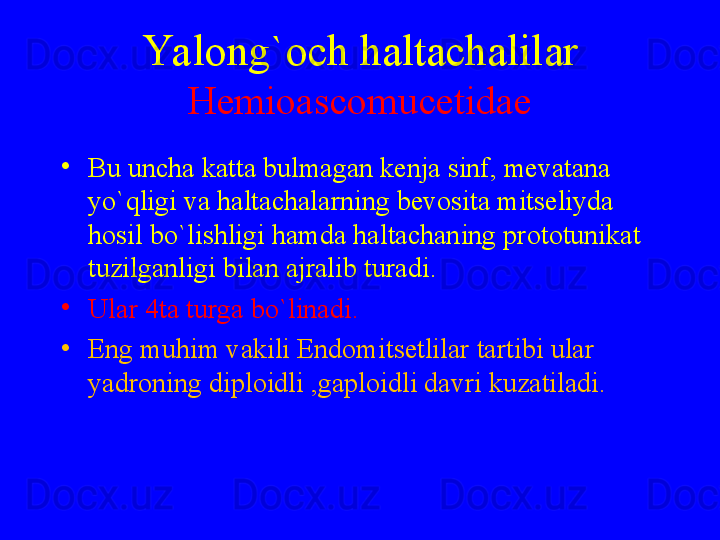 Yalong`och haltachalilar
Hemioascomucetidae
•
Bu uncha katta bulmagan kenja sinf, mevatana 
yo`qligi va haltachalarning bevosita mitseliyda 
hosil bo`lishligi hamda haltachaning prototunikat 
tuzilganligi bilan ajralib tura di. 
•
Ular 4ta turga bo`linadi.
•
Eng muhim vakili Endomitsetlilar tartibi ular 
yadroning diploidli ,gaploidli davri kuzatiladi. 