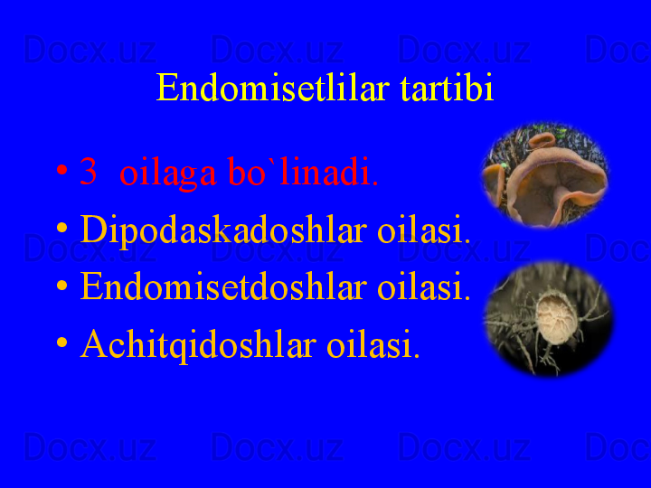 Endomisetlilar tartibi
•
3  oilaga bo`linadi.
•
Dipodaskadoshlar oilasi.
•
Endomisetdoshlar oilasi.
•
Achitqidoshlar oilasi. 