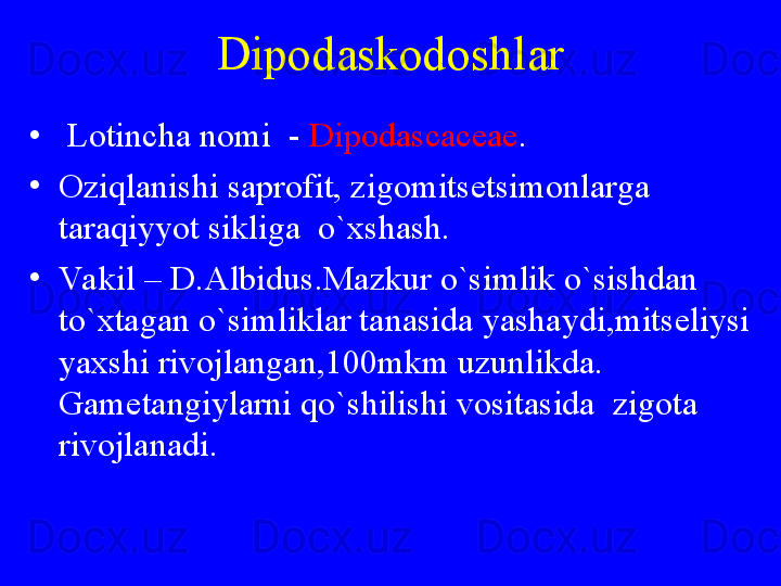 Dipodaskodoshlar
•
  Lotincha nomi  -  Dipodascaceae .
•
Oziqlanishi saprofit, zigomitsetsimonlarga 
taraqiyyot sikliga  o`xshash.
•
Va kil – D.Albidus.Mazkur o`simlik o`sishdan 
to`xtagan o`simliklar tanasida yashaydi,mitseliysi 
yaxshi rivojlangan,100mkm uzunlikda. 
Gametangiylarni qo`shilishi vositasida  zigota 
rivojlanadi. 