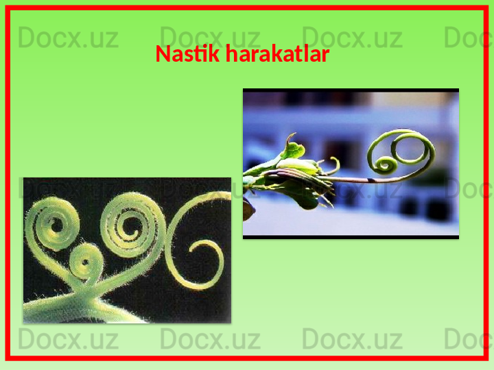 Nastik harakatlar