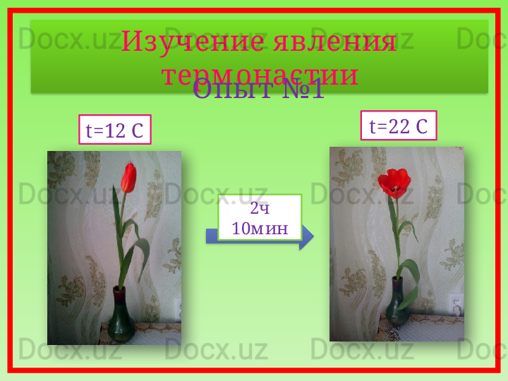 Из учение я вления  
терм онастии
Опы т №1
2 ч 
10м ин t =22 C
t=12 C     