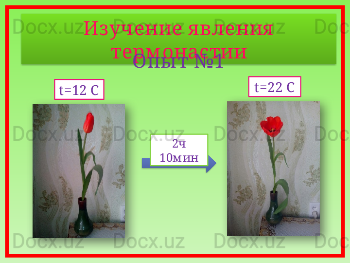 Из учение я вления  
терм онастии
Опы т №1
2 ч 
10м ин t =22 C
t=12 C