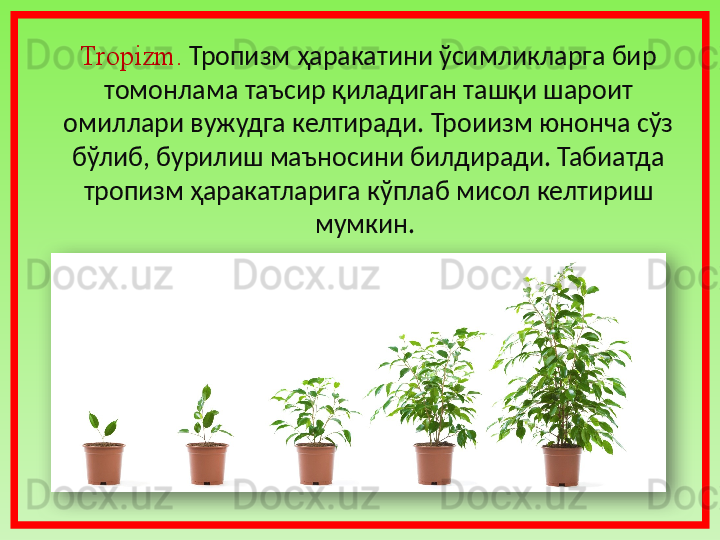 Tropizm.   Тропизм ҳаракатини ўсимликларга бир 
томонлама таъсир қиладиган ташқи шароит 
омиллари вужудга келтиради. Троиизм юнонча сўз 
бўлиб, бурилиш маъносини билдиради. Табиатда 
тропизм ҳаракатларига кўплаб мисол келтириш 
мумкин.