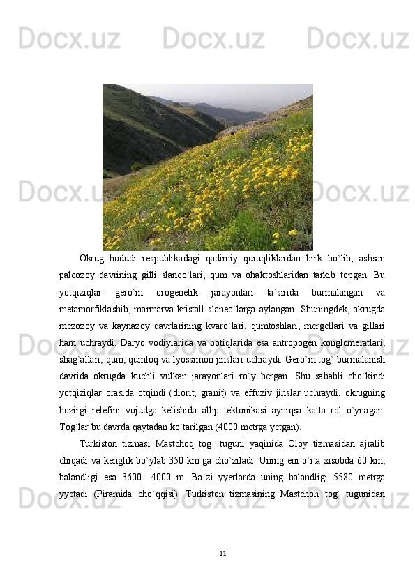 Okrug   hududi   respublikadagi   qadimiy   quruqliklardan   birk   bo`lib,   ashsan
paleozoy   davrining   gilli   slaneo`lari,   qum   va   ohaktoshlaridan   tarkib   topgan.   Bu
yotqiziqlar   gero`in   orogenetik   jarayonlari   ta`sirida   burmalangan   va
metamorfiklashib,   marmarva   kristall   slaneo`larga   aylangan.   Shuningdek,   okrugda
mezozoy   va   kaynazoy   davrlarining   kvaro`lari,   qumtoshlari,   mergellari   va   gillari
ham   uchraydi.   Daryo   vodiylarida   va   botiqlarida   esa   antropogen   konglomeratlari,
shag`allari, qum, qumloq va lyossimon jinslari uchraydi. Gero`in tog` burmalanish
davrida   okrugda   kuchli   vulkan   jarayonlari   ro`y   bergan.   Shu   sababli   cho`kindi
yotqiziqlar   orasida   otqindi   (diorit,   granit)   va   effuziv   jinslar   uchraydi,   okrugning
hozirgi   relefini   vujudga   kelishida   alhp   tektonikasi   ayniqsa   katta   rol   o`ynagan.
Tog`lar bu davrda qaytadan ko`tarilgan (4000 metrga yetgan).
Turkiston   tizmasi   Mastchoq   tog`   tuguni   yaqinida   Oloy   tizmasidan   ajralib
chiqadi va kenglik bo`ylab 350 km ga cho`ziladi. Uning eni o`rta xisobda 60 km,
balandligi   esa   3600—4000   m.   Ba`zi   yyerlarda   uning   balandligi   5580   metrga
yyetadi   (Piramida   cho`qqisi).   Turkiston   tizmasining   Mastchoh   tog`   tugunidan
11 