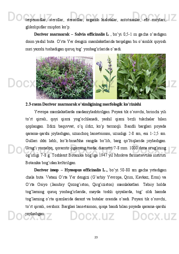 terpenoidlar,   sterollar,   steroidlar,   organik   kislotalar,   antotsianlar,   efir   moylari,
glikolipidlar miqdori ko’p.
Dorivor   marmarak   –   Salvia   officinalis   L .,   bo’yi   0,5-1   m   gacha   o’sadigan
doim yashil buta. O’rta Yer dengizi mamlakatlarida tarqalgan bu o’simlik quyosh
nuri yaxshi tushadigan quruq tog’ yonbag’irlarida o’sadi. 
             
2.3-rasm Dorivor marmarak o’simligining morfologik ko’rinishi
Yevropa mamlakatlarda madaniylashtirilgan. Poyasi tik o’suvchi, birinchi yili
to’rt   qirrali,   quyi   qismi   yog’ochlanadi,   yashil   qismi   bezli   tukchalar   bilan
qoplangan.   Ildizi   baquvvat,   o’q   ildiz,   ko’p   tarmoqli.   Bandli   barglari   poyada
qarama-qarshi   joylashgan,   uzunchoq   lansetsimon,   uzunligi   2-8   sm,   eni   1-2,5   sm.
Gullari   ikki   labli,   ko’k-binafsha   rangda   bo’lib,   barg   qo’ltiqlarida   joylashgan.
Urug’i yumaloq, qoramtir-jigarrang tusda, diametri 7-8 mm. 1000 dona urug’ining
og’irligi 7-8 g. Toshkent Botanika bog’iga 1947 yil Moskva farmatsevtika instituti
Botanika bog’idan keltirilgan.
Dorivor   issop   –   Hyssopus   officinalis   L.,   bo’yi   50-80   sm   gacha   yetadigan
chala   buta.   Vatani   O’rta   Yer   dengizi   (G’arbiy   Yevropa,   Qrim,   Kavkaz,   Eron)   va
O’rta   Osiyo   (Janubiy   Qozog’iston,   Qirg’iziston)   mamlakatlari.   Tabiiy   holda
tog’larning   quruq   yonbag’irlarida,   mayda   toshli   qoyalarda,   tog’   oldi   hamda
tog’larning   o’rta   qismlarida   daraxt   va   butalar   orasida   o’sadi.   Poyasi   tik   o’suvchi,
to’rt qirrali, sershox. Barglari lansetsimon, qisqa bandi bilan poyada qarama-qarshi
joylashgan. 
23