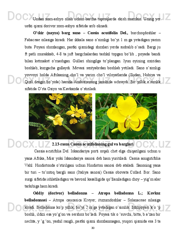 Undan xom-ashyo olish uchun barcha tuproqlarda ekish mumkin. Uning yer
ustki qismi dorivor xom-ashyo sifatida urib olinadi.
O’tkir   (nayza)   barg   sano   –   Cassia   acutifolia   Del.,   burchoqdoshlar   –
Fabaceae oilasiga kiradi. Har ikkala sano o’simligi bo’yi 1 m ga yetadigan yarim
buta. Poyasi shoxlangan, pastki qismidagi shoxlari yerda sudralib o’sadi. Bargi ju
ft   patli   murakkab,   4-8   ta   juft   bargchalardan   tashkil   topgan   bo‘lib   ,   poyada   bandi
bilan   ketmaket   o’rnashgan.   Gullari   shingilga   to’plangan.   Iyun   oyining   oxiridan
boshlab,   kuzgacha   gullaydi.   Mevasi   sentyabrdan   boshlab   yetiladi.   Sano   o’simligi
yovvoyi   holda   Afrikaning   cho’l   va   yarim   cho’l   viloyatlarida   (Sudan,   Nubiya   va
Qizil dengiz bo’yida) hamda Arabistonning janubida uchraydi. Bir yillik o’simlik
sifatida O’rta Osiyo va Kavkazda o’stiriladi.
        
2.13-rasm Cassia acutifolianing gul va barglari
 Cassia acutifolia Del. Iskandariya porti orqali chet elga chiqarilgani uchun u
yana Afrika, Misr yoki Iskandariya sanosi  deb ham yuritiladi. Cassia anugutifolia
Vahl. Hindistonda o’stirilgani uchun Hindiston sanosi  deb ataladi. Sanoning yana
bir   turi   –   to’mtoq   bargli   sano   (Italiya   sanosi)   Cassia   obovata   Collad.   Bor.   Sano
surgi sifatida ishlatiladigan va bavosil kasalligida qo’llaniladigan choy – yig’m alar
tarkibiga ham kiradi.
Oddiy   (dorivor)   belladonna   –   Atropa   belladonna   L.;   Kavkaz
belladonnasi   –   Atropa   caucasica   Kreyer;   ituzumdoshlar   –   Solanaceae   oilasiga
kiradi. Belladonna ko’p yillik, bo’yi 2 m ga yetadigan o’simlik. Ildizpoyasi k o ‘p
boshli, ildizi esa yo’g’on va sershox bo’ladi. Poyasi tik o ‘suvchi, bitta, b a‘zan bir
nechta, y ’g ‘on, yashil rangli, pastki qismi shoxlanmagan, yuqori qismida esa 3 ta
30 