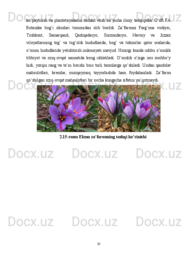 ko’paytirish   va   plantatsiyalarini   tashkil   etish   bo’yicha  ilmiy   tadqiqotlar   O’zR   FA
Botanika   bog’i   olimlari   tomonidan   olib   borildi.   Za‘faronni   Farg’ona   vodiysi,
Toshkent,   Samarqand,   Qashqadaryo,   Surxondaryo,   Navoiy   va   Jizzax
viloyatlarining   tog’   va   tog’oldi   hududlarida,   bog’   va   tokzorlar   qator   oralarida,
o’rmon hududlarida yetishtirish imkoniyati mavjud. Hozirgi kunda ushbu o’simlik
tibbiyot   va   oziq-ovqat   sanoatida   keng   ishlatiladi.   O’simlik   o’ziga   xos   xushbo’y
hidi,   yorqin   rang   va   ta‘m   berishi   bois   turli   taomlarga   qo’shiladi.   Undan   qandolat
mahsulotlari,   kremlar,   muzqaymoq   tayyorlashda   ham   foydalaniladi.   Za‘faron
qo’shilgan oziq-ovqat mahsulotlari bir necha kungacha sifatini yo’qotmaydi. 
2.15-rasm Ekma za’faronning tashqi ko’rinishi
32