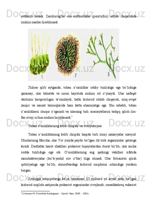 yetkazib   beradi.   Zamburug‘lar   esa   antibiotiklar   (penitsillin)   ishlab   chiqarishda
muhim manba hisoblanadi.
Xulosa   qilib   aytganda,   tuban   o‘simliklar   oddiy   tuzilishga   ega   bo‘lishiga
qaramay,   ular   tabiatda   va   inson   hayotida   muhim   rol   o‘ynaydi.   Ular   nafaqat
ekotizim   barqarorligini   ta’minlaydi,   balki   kislorod   ishlab   chiqarish,   oziq-ovqat
zanjiri   va   sanoat   tarmoqlarida   ham   katta   ahamiyatga   ega.   Shu   sababli,   tuban
o‘simliklarni   chuqur   o‘rganish   va   ularning   turli   xususiyatlarini   tadqiq   qilish   ilm-
fan rivoji uchun muhim hisoblanadi. 5
Tuban o‘simliklarning kelib chiqishi va evolyutsiyasi
Tuban   o‘simliklarning   kelib   chiqishi   haqida   turli   ilmiy   nazariyalar   mavjud.
Olimlarning fikricha, ular Yer yuzida paydo bo‘lgan ilk tirik organizmlar qatoriga
kiradi.   Dastlabki   hayot   shakllari   prokariot   hujayralardan   iborat   bo‘lib,   ular   ancha
sodda   tuzilishga   ega   edi.   O‘simliklarning   eng   qadimgi   vakillari   sifatida
sianobakteriyalar   (ko‘k-yashil   suv   o‘tlar)   tilga   olinadi.   Ular   fotosintez   qilish
qobiliyatiga   ega   bo‘lib,   atmosferadagi   kislorod   miqdorini   oshirishga   yordam
bergan.
Geologik   tadqiqotlarga   ko‘ra,   taxminan   3,5   milliard   yil   avval   sodir   bo‘lgan
kislorod inqilobi natijasida prokariot organizmlar rivojlanib, murakkabroq eukariot
5
 G‘ulomov M. O‘simliklar fiziologiyasi. – Qarshi: Nasr, 2019. – 320 b. 