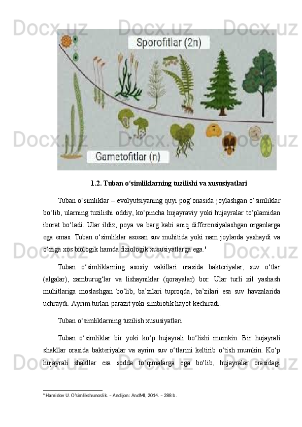 1.2. Tuban o‘simliklarning tuzilishi va xususiyatlari
Tuban o‘simliklar – evolyutsiyaning quyi pog‘onasida joylashgan o‘simliklar
bo‘lib, ularning tuzilishi  oddiy, ko‘pincha hujayraviy yoki  hujayralar to‘plamidan
iborat   bo‘ladi.   Ular   ildiz,   poya   va   barg   kabi   aniq   differensiyalashgan   organlarga
ega  emas.  Tuban  o‘simliklar   asosan   suv  muhitida  yoki   nam  joylarda yashaydi   va
o‘ziga xos biologik hamda fiziologik xususiyatlarga ega. 6
Tuban   o‘simliklarning   asosiy   vakillari   orasida   bakteriyalar,   suv   o‘tlar
(algalar),   zamburug‘lar   va   lishayniklar   (qorayalar)   bor.   Ular   turli   xil   yashash
muhitlariga   moslashgan   bo‘lib,   ba’zilari   tuproqda,   ba’zilari   esa   suv   havzalarida
uchraydi. Ayrim turlari parazit yoki simbiotik hayot kechiradi.
Tuban o‘simliklarning tuzilish xususiyatlari
Tuban   o‘simliklar   bir   yoki   ko‘p   hujayrali   bo‘lishi   mumkin.   Bir   hujayrali
shakllar   orasida   bakteriyalar   va   ayrim   suv   o‘tlarini   keltirib   o‘tish   mumkin.   Ko‘p
hujayrali   shakllar   esa   sodda   to‘qimalarga   ega   bo‘lib,   hujayralar   orasidagi
6
 Hamidov U. O‘simlikshunoslik. – Andijon: AndMI, 2014. – 288 b.