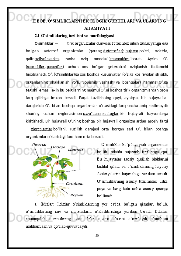 II BOB. O’SIMLIKLARNI EKOLOGIK GURUHLARI VA ULARNING
AHAMIYATI
2.1 O’simliklaring tuzilishi va morfologiyasi
Oʻsimliklar   —   tirik   organizmlar   dunyosi;   fotosintez   qilish   xususiyatiga   ega
boʻlgan   avtotrof   organizmlar   (qarang   Avtotroflar );   hujayra   poʻsti,   odatda,
qalin   sellyulozadan ,   zaxira   oziq   moddasi   kraxmaldan   iborat.   Ayrim   Oʻ.
( saprofitlar ,   parazitlar )   uchun   xos   boʻlgan   geterotrof   oziqlanish   ikkilamchi
hisoblanadi. Oʻ. (Oʻsimliklar)ga xos boshqa xususiyatlar (oʻziga xos rivojlanish sikli,
organlarning   shakllanish   yoʻli,   yopishib   yashash   va   boshqalar)   hamma   Oʻ.ga
tegishli emas, lekin bu belgilarning majmui Oʻ.ni boshqa tirik organizmlardan oson
farq   qilishga   imkon   beradi.   Faqat   tuzilishning   quyi,   ayniqsa,   bir   hujayralilar
darajasida   Oʻ.   bilan   boshqa   organizmlar   oʻrtasidagi   farq   uncha   aniq   sezilmaydi;
shuning   uchun   evglenasimon   suvo tlarniʻ   zoologlar   bir   hujayrali   hayvonlarga
kiritishadi.   Bir   hujayrali   Oʻ.ning   boshqa   bir   hujayrali   organizmlardan   asosiy   farqi
—   xloroplastlar   boʻlishi.   Tuzilish   darajasi   orta   borgan   sari   Oʻ.   bilan   boshqa
organizmlar oʻrtasidagi farq ham orta boradi.
O ’ simliklar   ko ’ p   hujayrali   organizmlar
bo ’ lib ,   odatda   hujayrali   tuzilishga   ega .
Bu   hujayralar   asosiy   qurilish   bloklarini
tashkil   qiladi   va   o ’ simliklarning   hayotiy
funksiyalarini   bajarishiga   yordam   beradi .
O ’ simliklarning   asosiy   tuzilmalari   ildiz ,
poya   va   barg   kabi   uchta   asosiy   qismga
bo ’ linadi .
a .   Ildizlar :   Ildizlar   o ’ simliklarning   yer   ostida   bo ’ lgan   qismlari   bo ’ lib ,
o ’ simliklarning   suv   va   minerallarni   o ’ zlashtirishiga   yordam   beradi .   Ildizlar ,
shuningdek ,   o ’ simlikning   tuproq   bilan   o ’ zaro   ta ’ sirini   ta ’ minlaydi ,   o ’ simlikni
mahkamlash   va   qo ’ llab - quvvatlaydi .
20 