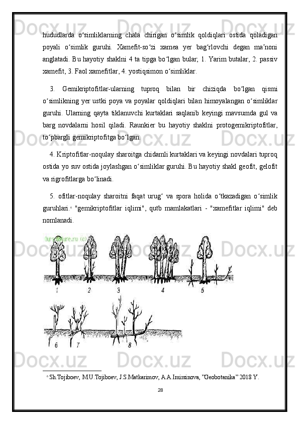 hududlarda   o simliklarning   chala   chirigan   o simlik   qoldiqlari   ostida   qoladiganʻ ʻ
poyali   o simlik   guruhi.   Xamefit-so zi   xamea   yer   bag rlovchi   degan   ma noni	
ʻ ʻ ʻ ʼ
anglatadi. Bu hayotiy shaklni 4 ta tipga bo lgan bular; 1. Yarim butalar, 2. passiv	
ʻ
xamefit, 3. Faol xamefitlar, 4. yostiqsimon o simliklar. 
ʻ
3.   Gemikriptofitlar-ularning   tuproq   bilan   bir   chiziqda   bo lgan   qismi	
ʻ
o simlikning   yer   ustki   poya   va  poyalar   qoldiqlari   bilan   himoyalangan   o simliklar	
ʻ ʻ
guruhi.   Ularning   qayta   tiklanuvchi   kurtaklari   saqlanib   keyingi   mavsumda   gul   va
barg   novdalarni   hosil   qiladi.   Raunkier   bu   hayotiy   shaklni   protogemikriptofitlar,
to pbargli gemikriptofitga bo lgan. 
ʻ ʻ
4. Kriptofitlar-noqulay sharoitga chidamli kurtaklari va keyingi novdalari tuproq
ostida yo suv ostida joylashgan o simliklar guruhi. Bu hayotiy shakl geofit, gelofit	
ʻ
va rigrofitlarga bo linadi. 	
ʻ
5.   ofitlar-noqulay   sharoitni   faqat   urug   va   spora   holida   o tkazadigan   o simlik	
ʻ ʻ ʻ
guruhlari. 6
  "gemikriptofitlar   iqlimi",   qutb   mamlakatlari   -   "xamefitlar   iqlimi"   deb
nomlanadi.
6
  Sh.Tojiboev,   M.U.Tojiboev,   J.S.Matkarimov,   A.A.Imirsinova,   ”Geobotanika” 2018 Y.
28 