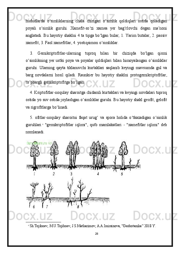 hududlarda   o simliklarning   chala   chirigan   o simlik   qoldiqlari   ostida   qoladiganʻ ʻ
poyali   o simlik   guruhi.   Xamefit-so zi   xamea   yer   bag rlovchi   degan   ma noni	
ʻ ʻ ʻ ʼ
anglatadi. Bu hayotiy shaklni 4 ta tipga bo lgan bular; 1. Yarim butalar, 2. passiv	
ʻ
xamefit, 3. Faol xamefitlar, 4. yostiqsimon o simliklar. 
ʻ
3.   Gemikriptofitlar-ularning   tuproq   bilan   bir   chiziqda   bo lgan   qismi	
ʻ
o simlikning   yer   ustki   poya   va  poyalar   qoldiqlari   bilan   himoyalangan   o simliklar	
ʻ ʻ
guruhi.   Ularning   qayta   tiklanuvchi   kurtaklari   saqlanib   keyingi   mavsumda   gul   va
barg   novdalarni   hosil   qiladi.   Raunkier   bu   hayotiy   shaklni   protogemikriptofitlar,
to pbargli gemikriptofitga bo lgan. 
ʻ ʻ
4. Kriptofitlar-noqulay sharoitga chidamli kurtaklari va keyingi novdalari tuproq
ostida yo suv ostida joylashgan o simliklar guruhi. Bu hayotiy shakl geofit, gelofit	
ʻ
va rigrofitlarga bo linadi. 	
ʻ
5.   ofitlar-noqulay   sharoitni   faqat   urug   va   spora   holida   o tkazadigan   o simlik	
ʻ ʻ ʻ
guruhlari. 6
  "gemikriptofitlar   iqlimi",   qutb   mamlakatlari   -   "xamefitlar   iqlimi"   deb
nomlanadi.
6
  Sh.Tojiboev,   M.U.Tojiboev,   J.S.Matkarimov,   A.A.Imirsinova,   ”Geobotanika” 2018 Y.
28