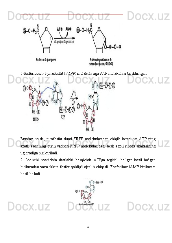 5-fosforibozil-1-pirofosfat (FRPP) molekulasiga ATP molekulasi biriktirilgan.
Bunday   holda,   pirofosfat   dumi   FRPP   molekulasidan   chiqib   ketadi   va   ATP   ning
azotli asosining purin yadrosi FRPP molekulasidagi besh a'zoli riboza shakarining
uglerodiga biriktiriladi.
2.   Ikkinchi   bosqichda   dastlabki   bosqichda   ATPga   tegishli   bo'lgan   hosil   bo'lgan
birikmadan yana ikkita fosfor qoldig'i ajralib chiqadi. FosforibozilAMP birikmasi
hosil bo'ladi.
6 