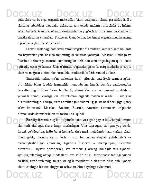 qoldiqlari   va   boshqa   organik   materiallar   bilan   oziqlanib,   ularni   parchalaydi.   Bu
ularning   tabiatdagi   moddalar   aylanishi   jarayonida   muhim   ishtirokchi   bo’lishiga
sabab bo’ladi. Ayniqsa, o’rmon ekotizimlarida yog och to’qimalarini parchalovchiʻ
bazidiyali turlar (masalan, Trametes, Ganoderma, Lentinus) organik moddalarning
tuproqqa qaytishini ta’minlaydi.
Parazit shakldagi bazidiyali zamburug lar o’simliklar, kamdan-kam hollarda	
ʻ
esa hayvonlar  yoki  boshqa  zamburug lar  tanasida yashaydi. Masalan,  Ustilago va	
ʻ
Puccinia   turkumiga   mansub   zamburug lar   turli   don   ekinlariga   hujum   qilib,   katta
ʻ
iqtisodiy zarar yetkazadi. Ular o’simlik to’qimalariga kirib, oziq moddalarni so’rib
oladi va natijada o’simliklar kasallikka chalinadi, ba’zida nobud bo’ladi.
Simbiotik   turlar,   ya’ni   mikoriza   hosil   qiluvchi   bazidiyali   zamburug lar,	
ʻ
o’simliklar   bilan   foydali   hamkorlik   munosabatiga   kiradi.   Bunday   zamburug lar
ʻ
daraxtlarning   ildizlari   bilan   bog lanib,   o’simlikka   suv   va   mineral   moddalarni	
ʻ
yetkazib   beradi,   evaziga   esa   o’simlikdan   organik   moddalar   oladi.   Bu   aloqalar
o’simliklarning o’sishiga,  stress  omillariga chidamliligiga va hosildorligiga ijobiy
ta’sir   ko’rsatadi.   Masalan,   Boletus,   Russula,   Amanita   turkumlari   ko’pincha
o’rmonlarda daraxtlar bilan mikoriza hosil qiladi.
Bazidiyali  zamburug lar  ko’pincha nam  va  soyali  joylarda uchraydi, ammo	
ʻ
ular   turli   ekologik   sharoitlarga   moslashgan.   Ular   tuproqda,   chirigan   yog ochda,	
ʻ
daraxt   po’stlog ida,   hatto   ba’zi   hollarda   ekstremal   muhitlarda   ham   yashay   oladi.	
ʻ
Shuningdek,   ularning   ayrim   turlari   inson   tomonidan   ataylab   yetishtiriladi   va
madaniylashtirilgan   (masalan,   Agaricus   bisporus   –   shampinyon,   Pleurotus
ostreatus   –   oyster   qo’ziqorini).   Bu   zamburug larning   biologik   xususiyatlari,	
ʻ
ayniqsa,   ularning   ozuqa   moddalarni   tez   so’rib   olish,   fermentativ   faolligi   yuqori
bo’lishi,   atrof-muhitdagi   toksin   va   og ir   metallarni   o’zlashtira   olish   qobiliyatlari	
ʻ
ularni ekologik biotexnologiyalar uchun muhim obyektga aylantiradi.
14 