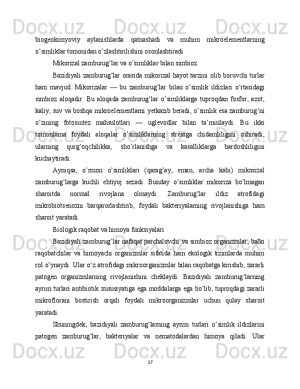biogeokimyoviy   aylanishlarda   qatnashadi   va   muhim   mikroelementlarning
o’simliklar tomonidan o’zlashtirilishini osonlashtiradi.
Mikorizal zamburug lar va o’simliklar bilan simbiozʻ
Bazidiyali zamburug lar orasida mikorizal hayot tarzini olib boruvchi turlar
ʻ
ham   mavjud.   Mikorizalar   —   bu   zamburug lar   bilan   o’simlik   ildizlari   o’rtasidagi	
ʻ
simbioz   aloqadir.   Bu   aloqada   zamburug lar   o’simliklarga   tuproqdan   fosfor,   azot,	
ʻ
kaliy, suv va boshqa mikroelementlarni yetkazib beradi, o’simlik esa zamburug ni	
ʻ
o’zining   fotosintez   mahsulotlari   —   uglevodlar   bilan   ta’minlaydi.   Bu   ikki
tomonlama   foydali   aloqalar   o’simliklarning   stressga   chidamliligini   oshiradi,
ularning   qurg’oqchilikka,   sho’rlanishga   va   kasalliklarga   bardoshliligini
kuchaytiradi.
Ayniqsa,   o’rmon   o’simliklari   (qarag’ay,   eman,   archa   kabi)   mikorizal
zamburug larga   kuchli   ehtiyoj   sezadi.   Bunday   o’simliklar   mikoriza   bo’lmagan	
ʻ
sharoitda   normal   rivojlana   olmaydi.   Zamburug lar   ildiz   atrofidagi	
ʻ
mikrobiotsenozni   barqarorlashtirib,   foydali   bakteriyalarning   rivojlanishiga   ham
sharoit yaratadi.
Biologik raqobat va himoya funksiyalari
Bazidiyali zamburug lar nafaqat parchalovchi va simbioz organizmlar, balki	
ʻ
raqobatchilar   va   himoyachi   organizmlar   sifatida   ham   ekologik   tizimlarda   muhim
rol o’ynaydi. Ular o’z atrofidagi mikroorganizmlar bilan raqobatga kirishib, zararli
patogen   organizmlarning   rivojlanishini   cheklaydi.   Bazidiyali   zamburug larning	
ʻ
ayrim turlari antibiotik xususiyatiga ega moddalarga ega bo’lib, tuproqdagi zararli
mikroflorani   bostirish   orqali   foydali   mikroorganizmlar   uchun   qulay   sharoit
yaratadi.
Shuningdek,   bazidiyali   zamburug larning   ayrim   turlari   o’simlik   ildizlarini	
ʻ
patogen   zamburug lar,   bakteriyalar   va   nematodalardan   himoya   qiladi.   Ular	
ʻ
17 