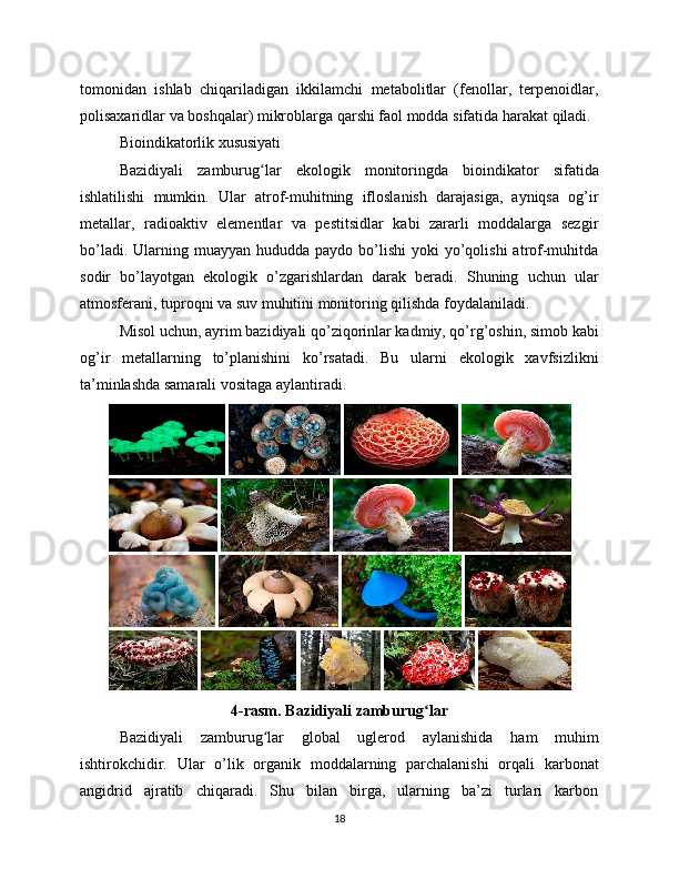 tomonidan   ishlab   chiqariladigan   ikkilamchi   metabolitlar   (fenollar,   terpenoidlar,
polisaxaridlar va boshqalar) mikroblarga qarshi faol modda sifatida harakat qiladi.
Bioindikatorlik xususiyati
Bazidiyali   zamburug lar   ekologik   monitoringda   bioindikator   sifatidaʻ
ishlatilishi   mumkin.   Ular   atrof-muhitning   ifloslanish   darajasiga,   ayniqsa   og’ir
metallar,   radioaktiv   elementlar   va   pestitsidlar   kabi   zararli   moddalarga   sezgir
bo’ladi.  Ularning muayyan  hududda paydo  bo’lishi  yoki   yo’qolishi  atrof-muhitda
sodir   bo’layotgan   ekologik   o’zgarishlardan   darak   beradi.   Shuning   uchun   ular
atmosferani, tuproqni va suv muhitini monitoring qilishda foydalaniladi.
Misol uchun, ayrim bazidiyali qo’ziqorinlar kadmiy, qo’rg’oshin, simob kabi
og’ir   metallarning   to’planishini   ko’rsatadi.   Bu   ularni   ekologik   xavfsizlikni
ta’minlashda samarali vositaga aylantiradi. 
4-rasm. Bazidiyali zamburug lar	
ʻ
Bazidiyali   zamburug lar   global   uglerod   aylanishida   ham   muhim	
ʻ
ishtirokchidir.   Ular   o’lik   organik   moddalarning   parchalanishi   orqali   karbonat
angidrid   ajratib   chiqaradi.   Shu   bilan   birga,   ularning   ba’zi   turlari   karbon
18