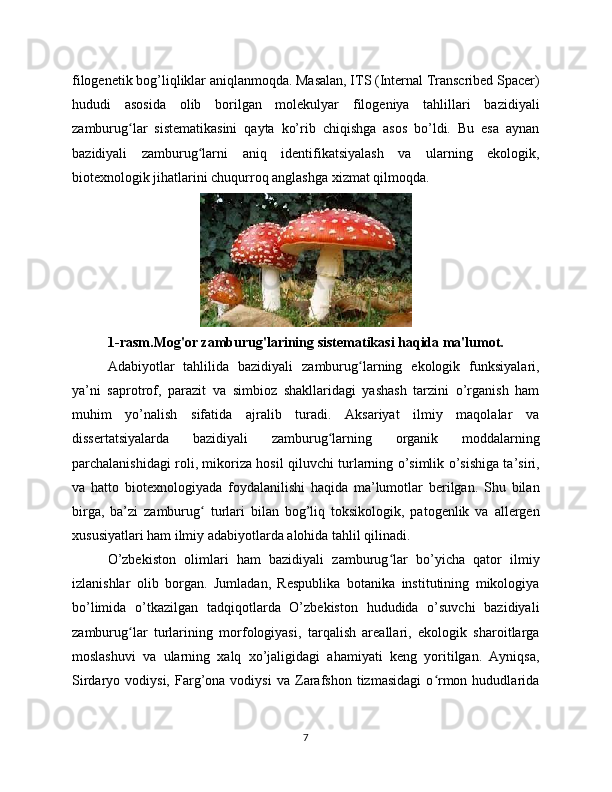 filogenetik bog’liqliklar aniqlanmoqda. Masalan, ITS (Internal Transcribed Spacer)
hududi   asosida   olib   borilgan   molekulyar   filogeniya   tahlillari   bazidiyali
zamburug lar   sistematikasini   qayta   ko’rib   chiqishga   asos   bo’ldi.   Bu   esa   aynanʻ
bazidiyali   zamburug larni   aniq   identifikatsiyalash   va   ularning   ekologik,	
ʻ
biotexnologik jihatlarini chuqurroq anglashga xizmat qilmoqda.
1-rasm.Mog'or zamburug'larining sistematikasi haqida ma'lumot.
Adabiyotlar   tahlilida   bazidiyali   zamburug larning   ekologik   funksiyalari,	
ʻ
ya’ni   saprotrof,   parazit   va   simbioz   shakllaridagi   yashash   tarzini   o’rganish   ham
muhim   yo’nalish   sifatida   ajralib   turadi.   Aksariyat   ilmiy   maqolalar   va
dissertatsiyalarda   bazidiyali   zamburug larning   organik   moddalarning	
ʻ
parchalanishidagi roli, mikoriza hosil qiluvchi turlarning o’simlik o’sishiga ta’siri,
va   hatto   biotexnologiyada   foydalanilishi   haqida   ma’lumotlar   berilgan.   Shu   bilan
birga,   ba’zi   zamburug   turlari   bilan   bog’liq   toksikologik,   patogenlik   va   allergen	
ʻ
xususiyatlari ham ilmiy adabiyotlarda alohida tahlil qilinadi.
O’zbekiston   olimlari   ham   bazidiyali   zamburug lar   bo’yicha   qator   ilmiy	
ʻ
izlanishlar   olib   borgan.   Jumladan,   Respublika   botanika   institutining   mikologiya
bo’limida   o’tkazilgan   tadqiqotlarda   O’zbekiston   hududida   o’suvchi   bazidiyali
zamburug lar   turlarining   morfologiyasi,   tarqalish   areallari,   ekologik   sharoitlarga	
ʻ
moslashuvi   va   ularning   xalq   xo’jaligidagi   ahamiyati   keng   yoritilgan.   Ayniqsa,
Sirdaryo  vodiysi,   Farg’ona   vodiysi   va   Zarafshon   tizmasidagi   o rmon  hududlarida	
ʻ
7 