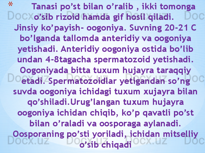 *        Tanasi po’st bilan o’ralib , ikki tomonga 
o’sib rizoid hamda gif hosil qiladi. 
Jinsiy ko’payish- oogoniya. Suvning 20-21 C 
bo’lganda tallomda anteridiy va oogoniya 
yetishadi. Anteridiy oogoniya ostida bo’lib 
undan 4-8tagacha spermatozoid yetishadi. 
Oogoniyada bitta tuxum hujayra taraqqiy 
etadi. Spermatozoidlar yetigandan so’ng 
suvda oogoniya ichidagi tuxum xujayra bilan 
qo’shiladi.Urug’langan tuxum hujayra 
oogoniya ichidan chiqib, ko’p qavatli po’st 
bilan o’raladi va oosporaga aylanadi. 
Oosporaning po’sti yoriladi, ichidan mitselliy 
o’sib chiqadi 