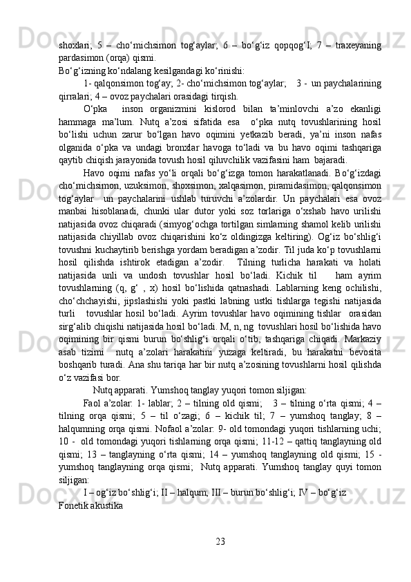 shoxlari;   5   –   cho‘michsimon   tog‘aylar;   6   –   bo‘g‘iz   qopqog‘I;   7   –   traxeyaning
pardasimon (orqa) qismi.
Bo‘g‘izning ko‘ndalang kesilgandagi ko‘rinishi:
1- qalqonsimon tog‘ay; 2- cho‘michsimon tog‘aylar;    3 -  un paychalarining
qirralari; 4 – ovoz paychalari orasidagi tirqish.
O‘pka     inson   organizmini   kislorod   bilan   ta’minlovchi   a’zo   ekanligi
hammaga   ma’lum.   Nutq   a’zosi   sifatida   esa     o‘pka   nutq   tovushlarining   hosil
bo‘lishi   uchun   zarur   bo‘lgan   havo   oqimini   yetkazib   beradi,   ya’ni   inson   nafas
olganida   o‘pka   va   undagi   bronxlar   havoga   to‘ladi   va   bu   havo   oqimi   tashqariga
qaytib chiqish jarayonida tovush hosil qiluvchilik vazifasini ham  bajaradi.
Havo   oqimi   nafas   yo‘li   orqali   bo‘g‘izga   tomon   harakatlanadi.   Bo‘g‘izdagi
cho‘michsimon, uzuksimon, shoxsimon, xalqasimon, piramidasimon, qalqonsimon
tog‘aylar     un   paychalarini   ushlab   turuvchi   a’zolardir.   Un   paychalari   esa   ovoz
manbai   hisoblanadi,   chunki   ular   dutor   yoki   soz   torlariga   o‘xshab   havo   urilishi
natijasida ovoz chiqaradi (simyog‘ochga tortilgan simlarning shamol kelib urilishi
natijasida   chiyillab   ovoz   chiqarishini   ko‘z   oldingizga   keltiring).   Og‘iz   bo‘shlig‘i
tovushni kuchaytirib berishga yordam beradigan a’zodir. Til juda ko‘p tovushlarni
hosil   qilishda   ishtirok   etadigan   a’zodir.     Tilning   turlicha   harakati   va   holati
natijasida   unli   va   undosh   tovushlar   hosil   bo‘ladi.   Kichik   til       ham   ayrim
tovushlarning   (q,   g‘   ,   x)   hosil   bo‘lishida   qatnashadi.   Lablarning   keng   ochilishi,
cho‘chchayishi,   jipslashishi   yoki   pastki   labning   ustki   tishlarga   tegishi   natijasida
turli       tovushlar   hosil   bo‘ladi.   Ayrim   tovushlar   havo   oqimining   tishlar     orasidan
sirg‘alib chiqishi natijasida hosil bo‘ladi. M, n, ng  tovushlari hosil bo‘lishida havo
oqimining   bir   qismi   burun   bo‘shlig‘i   orqali   o‘tib,   tashqariga   chiqadi.   Markaziy
asab   tizimi     nutq   a’zolari   harakatini   yuzaga   keltiradi,   bu   harakatni   bevosita
boshqarib turadi. Ana shu tariqa har bir nutq a’zosining tovushlarni hosil qilishda
o‘z vazifasi bor. 
    Nutq apparati. Yumshoq tanglay yuqori tomon siljigan:
Faol   a’zolar:   1-   lablar;   2   –   tilning   old   qismi;       3   –   tilning   o‘rta   qismi;   4   –
tilning   orqa   qismi;   5   –   til   o‘zagi;   6   –   kichik   til;   7   –   yumshoq   tanglay;   8   –
halqumning orqa qismi. Nofaol a’zolar: 9- old tomondagi yuqori tishlarning uchi;
10 -   old tomondagi yuqori tishlarning orqa qismi; 11-12 – qattiq tanglayning old
qismi;   13   –   tanglayning   o‘rta   qismi;   14   –   yumshoq   tanglayning   old   qismi;   15   -
yumshoq   tanglayning   orqa   qismi;     Nutq   apparati.   Yumshoq   tanglay   quyi   tomon
siljigan:
I – og‘iz bo‘shlig‘i; II – halqum; III – burun bo‘shlig‘i; IV – bo‘g‘iz
Fonetik akustika
23 