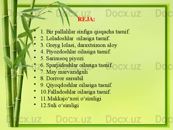 REJA:
•
1. Bir pallalilar sinfiga qisqacha tasnif.
•
2. Loladoshlar  oilasiga tasnif.
•
3. Greyg lolasi, daraxtsimon aloy
•
4. Piyozdoshlar oilasiga tasnif.
•
5. Sarimsoq piyozi 
•
6. Sparjadoshlar oilasiga tasnif.
•
7. May marvaridguli 
•
8. Dorivor sarsabil 
•
9. Qiyoqdoshlar oilasiga tasnif.
•
10.Falladoshlar oilasiga tasnif.
•
11.Makkajo‘xori o‘simligi
•
12.Suli o‘simligi  