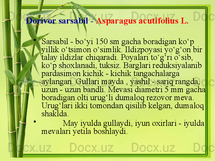 Dorivor sarsabil -   Asparagus acutifolius L.
•
Sarsabil - bo‘yi 150 sm gacha boradigan ko‘p 
yillik o‘tsimon o‘simlik. Ildizpoyasi yo‘g‘on bir 
talay ildizlar chiqaradi. Poyalari to‘g‘ri o‘sib, 
ko‘p shoxlanadi, tuksiz. Barglari reduksiyalanib 
pardasimon kichik - kichik tangachalarga 
aylangan. Gullari mayda , yashil - sariq rangda, 
uzun - uzun bandli. Mevasi diametri 5 mm gacha 
boradigan olti urug‘li dumaloq rezovor meva. 
Urug‘lari ikki tomondan qisilib kelgan, dumaloq 
shaklda. 
•
May iyulda gullaydi, iyun oxirlari - iyulda 
mevalari yetila boshlaydi.
