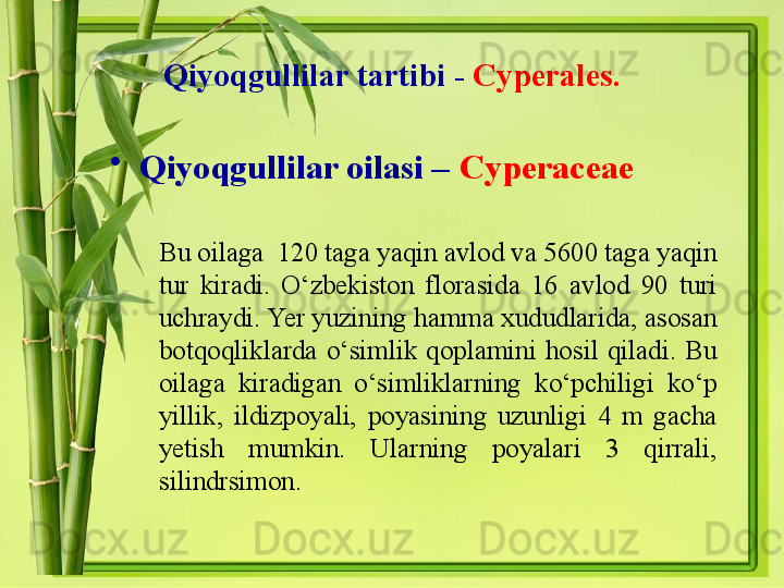 Qiyoqgullilar tartibi -   Cyperales.
•
Qiyoqgullilar oilasi –   Cyperaceae
Bu oilaga  120 taga yaqin avlod va 5600 taga yaqin 
tur  kiradi.  O‘zbekiston  florasida  16  avlod  90  turi 
uchraydi. Yer yuzining hamma xududlarida, asosan 
botqoqliklarda  o‘simlik  qoplamini  hosil  qiladi.  Bu 
oilaga  kiradigan  o‘simliklarning  ko‘pchiligi  ko‘p 
yillik,  ildizpoyali,  poyasining  uzunligi  4  m  gacha 
yetish  mumkin.  Ularning  poyalari  3  qirrali, 
silindrsimon.