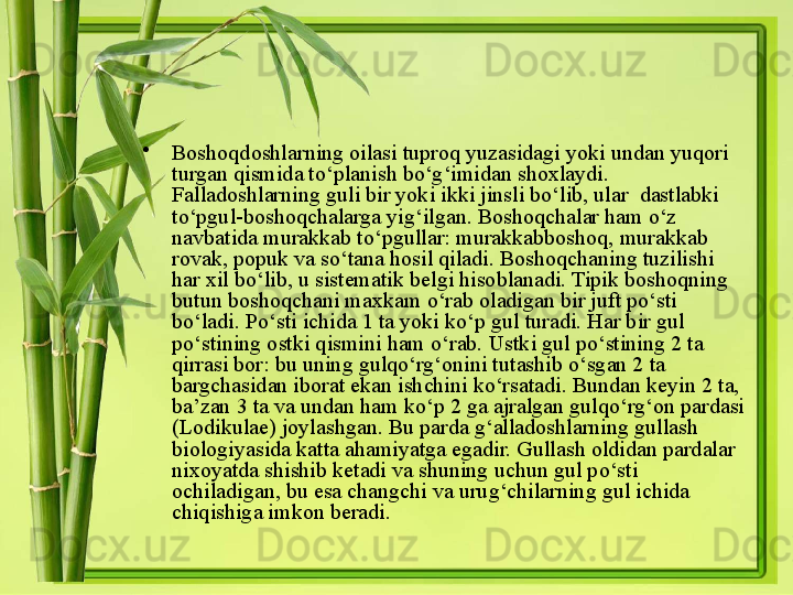 •
Boshoqdoshlarning oilasi tuproq yuzasidagi yoki undan yuqori 
turgan qismida to‘planish bo‘g‘imidan shoxlaydi. 
Falladoshlarning guli bir yoki ikki jinsli bo‘lib, ular  dastlabki 
to‘pgul-boshoqchalarga yig‘ilgan. Boshoqchalar ham o‘z 
navbatida murakkab to‘pgullar: murakkabboshoq, murakkab 
rovak, popuk va so‘tana hosil qiladi. Boshoqchaning tuzilishi 
har xil bo‘lib, u sistematik belgi hisoblanadi. Tipik boshoqning 
butun boshoqchani maxkam o‘rab oladigan bir juft po‘sti 
bo‘ladi. Po‘sti ichida 1 ta yoki ko‘p gul turadi. Har bir gul 
po‘stining ostki qismini ham o‘rab. Ustki gul po‘stining 2 ta 
qirrasi bor: bu uning gulqo‘rg‘onini tutashib o‘sgan 2 ta 
bargchasidan iborat ekan ishchini ko‘rsatadi. Bundan keyin 2 ta, 
ba’zan 3 ta va undan ham ko‘p 2 ga ajralgan gulqo‘rg‘on pardasi 
(Lodikulae) joylashgan. Bu parda g‘alladoshlarning gullash 
biologiyasida katta ahamiyatga egadir. Gullash oldidan pardalar 
nixoyatda shishib ketadi va shuning uchun gul po‘sti 
ochiladigan, bu esa changchi va urug‘chilarning gul ichida 
chiqishiga imkon beradi.  