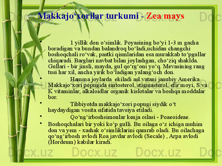 Makkajo‘xorilar turkumi -   Zea mays
•
1 yillik don o‘simlik. Poyasining bo‘yi 1-3 m gacha 
boradigan va bundan balandroq bo‘ladi,uchidan changchi 
boshoqchali ro‘vak, pastki qismlaridan esa murakkab to‘pgullar 
chiqaradi. Barglari navbat bilan joylashgan, cho‘ziq shaklda. 
Gullari - bir jinsli, mayda, gul qo‘rg‘oni yo‘q. Mevasining rang 
tusi har xil, ancha yirik bo‘ladigan yalang‘och don. 
•
Hamma joylarda  ekiladi asl vatani janubiy Amerika 
Makkajo‘xori popugida sintosterol, stigmasterol, efir moyi, S va 
K vitaminlar, alkaloidlar organik kislotalar va boshqa moddalar 
bor. 
•
Tibbiyotda makkajo‘xori popugi siydik o‘t 
haydaydigan vosita sifatida tavsiya etiladi. 
•
Qo‘ng‘irboshsimonlar kenja oilasi - Poaeoideae. 
•
Boshoqchalari bir yoki ko‘p gulli. Bu oilaga o‘z ichiga muhim 
don va yem - xashak o‘simliklarini qamrab oladi. Bu oilachaga 
qo‘ng‘irbosh avlodi Roa javdar avlodi ( Secale ) , Arpa avlodi 
( Hordeum ) kabilar kiradi.