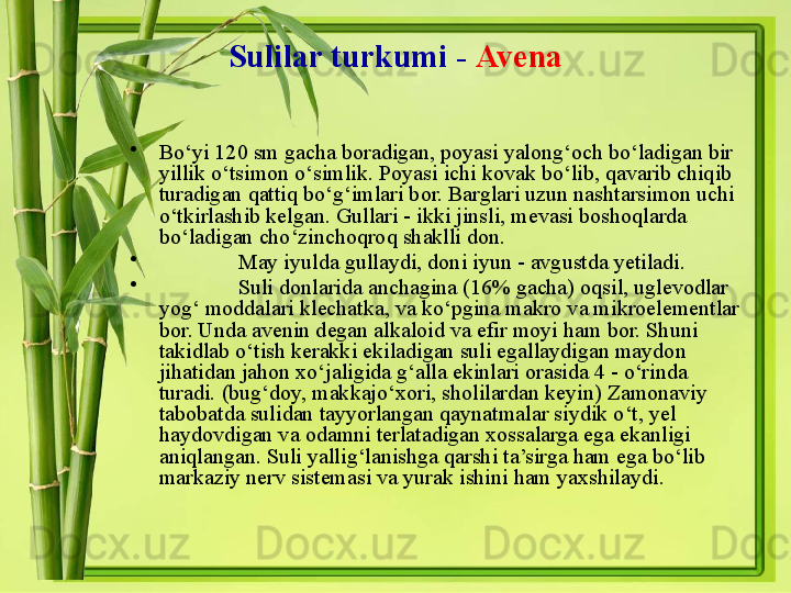 Sulilar turkumi  -   Avena
•
Bo‘yi 120 sm gacha boradigan, poyasi yalong‘och bo‘ladigan bir 
yillik o‘tsimon o‘simlik. Poyasi ichi kovak bo‘lib, qavarib chiqib 
turadigan qattiq bo‘g‘imlari bor. Barglari uzun nashtarsimon uchi 
o‘tkirlashib kelgan. Gullari - ikki jinsli, mevasi boshoqlarda 
bo‘ladigan cho‘zinchoqroq shaklli don. 
•
May iyulda gullaydi, doni iyun - avgustda yetiladi. 
•
Suli donlarida anchagina (16% gacha) oqsil, uglevodlar 
yog‘ moddalari klechatka, va ko‘pgina makro va mikroelementlar 
bor. Unda avenin degan alkaloid va efir moyi ham bor. Shuni 
takidlab o‘tish kerakki ekiladigan suli egallaydigan maydon 
jihatidan jahon xo‘jaligida g‘alla ekinlari orasida 4 - o‘rinda 
turadi. (bug‘doy, makkajo‘xori, sholilardan keyin) Zamonaviy 
tabobatda sulidan tayyorlangan qaynatmalar siydik o‘t, yel 
haydovdigan va odamni terlatadigan xossalarga ega ekanligi 
aniqlangan. Suli yallig‘lanishga qarshi ta’sirga ham ega bo‘lib 
markaziy nerv sistemasi va yurak ishini ham yaxshilaydi.  