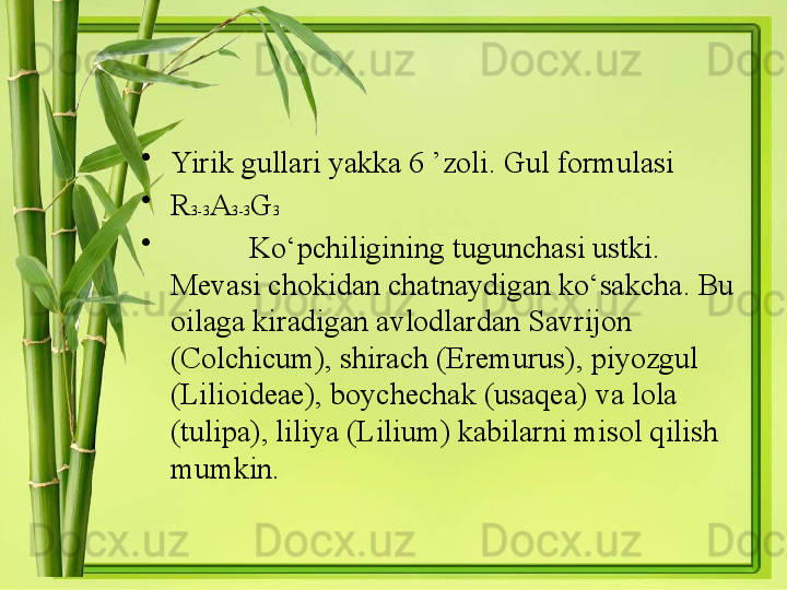 •
Yirik gullari yakka 6 ’zoli. Gul formulasi     
•
R 3-3 A 3-3 G 3  
•
Ko‘pchiligining tugunchasi ustki. 
Mevasi chokidan chatnaydigan ko‘sakcha. Bu 
oilaga kiradigan avlodlardan Savrijon 
(Colchicum), shirach (Eremurus) , piyozgul  
(Lilioideae) , boychechak  (usaqea)  va lola  
(tulipa) , liliya  (Lilium)  kabilarni misol qilish 
mumkin.  