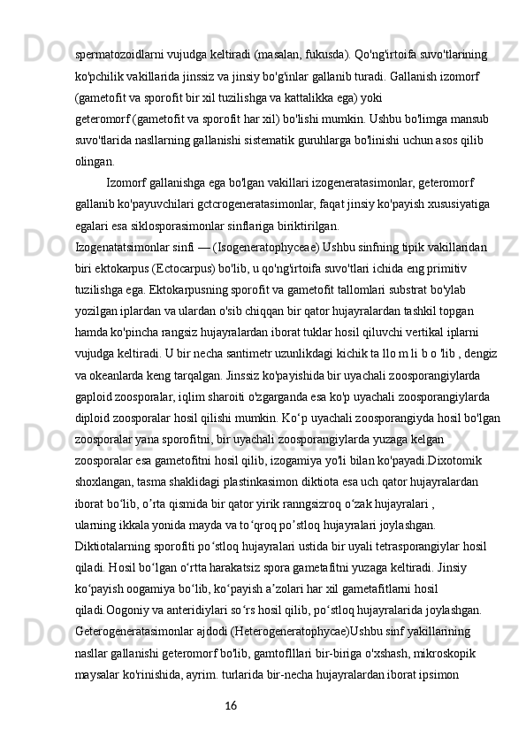 16spermatozoidlarni vujudga keltiradi (masalan, fukusda). Qo'ng'irtoifa suvo'tlarining 
ko'pchilik vakillarida jinssiz va jinsiy bo'g'inlar gallanib turadi. Gallanish izomorf 
(gametofit va sporofit bir xil tuzilishga va kattalikka ega) yoki
geteromorf (gametofit va sporofit har xil) bo'lishi mumkin. Ushbu bo'limga mansub
suvo'tlarida nasllarning gallanishi sistematik guruhlarga bo'linishi uchun asos qilib 
olingan.
Izomorf gallanishga ega bo'lgan vakillari izogeneratasimonlar, geteromorf 
gallanib ko'payuvchilari gctcrogeneratasimonlar, faqat jinsiy ko'payish xususiyatiga 
egalari esa siklosporasimonlar sinflariga biriktirilgan.
Izogenatatsimonlar sinfi — (Isogeneratophyceae) Ushbu sinfning tipik vakillaridan 
biri ektokarpus (Ectocarpus) bo'lib, u qo'ng'irtoifa suvo'tlari ichida eng primitiv 
tuzilishga ega. Ektokarpusning sporofit va gametofit tallomlari substrat bo'ylab 
yozilgan iplardan va ulardan o'sib chiqqan bir qator hujayralardan tashkil topgan 
hamda ko'pincha rangsiz hujayralardan iborat tuklar hosil qiluvchi vertikal iplarni 
vujudga keltiradi. U bir necha santimetr uzunlikdagi kichik ta llo m li b o 'lib , dengiz 
va okeanlarda keng tarqalgan. Jinssiz ko'payishida bir uyachali zoosporangiylarda 
gaploid zoosporalar, iqlim sharoiti o'zgarganda esa ko'p uyachali zoosporangiylarda 
diploid zoosporalar hosil qilishi mumkin. Ko‘p uyachali zoosporangiyda hosil bo'lgan
zoosporalar yana sporofitni, bir uyachali zoosporangiylarda yuzaga kelgan 
zoosporalar esa gametofitni hosil qilib, izogamiya yo'li bilan ko'payadi.Dixotomik 
shoxlangan, tasma shaklidagi plastinkasimon diktiota esa uch qator hujayralardan 
iborat bo lib, o rta qismida bir qator yirik ranngsizroq o zak hujayralari ,ʻ ʼ ʻ
ularning ikkala yonida mayda va to qroq po stloq hujayralari joylashgan. 	
ʻ ʼ
Diktiotalarning sporofiti po stloq hujayralari ustida bir uyali tetrasporangiylar hosil 	
ʻ
qiladi. Hosil bo lgan o rtta harakatsiz spora gametafitni yuzaga keltiradi. Jinsiy 	
ʻ ʻ
ko payish oogamiya bo lib, ko payish a zolari har xil gametafitlarni hosil 	
ʻ ʻ ʻ ʼ
qiladi.Oogoniy va anteridiylari so rs hosil qilib, po stloq hujayralarida joylashgan.	
ʻ ʻ
Geterogeneratasimonlar ajdodi (Heterogeneratophycae)Ushbu sinf yakillarining 
nasllar gallanishi geteromorf bo'lib, gamtoflllari bir-biriga o'xshash, mikroskopik 
maysalar ko'rinishida, ayrim. turlarida bir-necha hujayralardan iborat ipsimon  