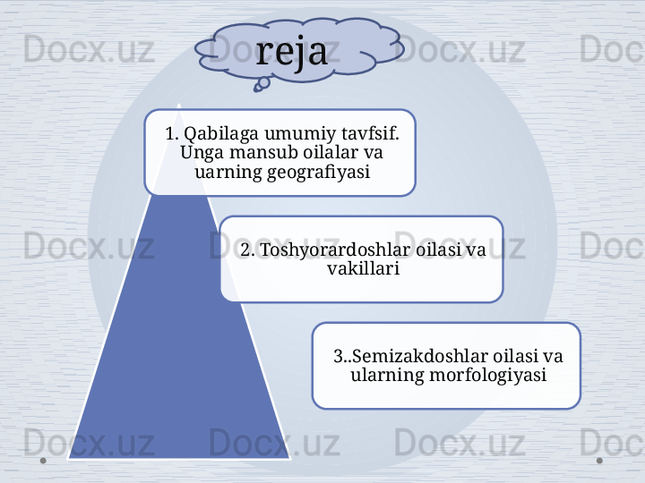 1. Qabilaga umumiy tavfsif. 
Unga mansub oilalar va 
uarning geografiyasi
3..Semizakdoshlar oilasi va 
ularning morfologiyasi2. Toshyorardoshlar oilasi va 
vakillarireja    