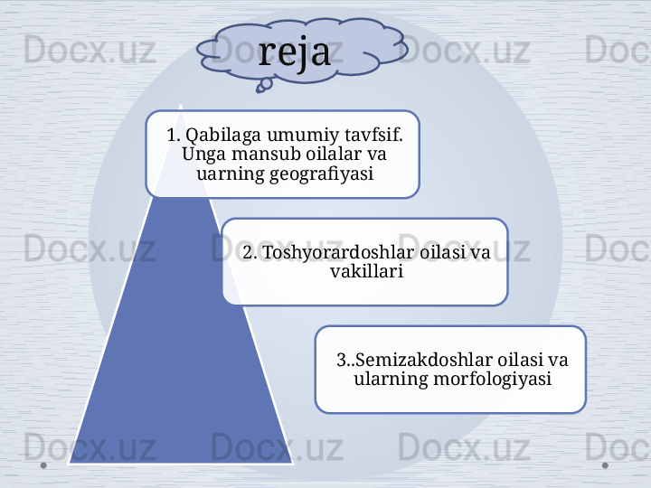 1. Qabilaga umumiy tavfsif. 
Unga mansub oilalar va 
uarning geografiyasi
3..Semizakdoshlar oilasi va 
ularning morfologiyasi2. Toshyorardoshlar oilasi va 
vakillarireja