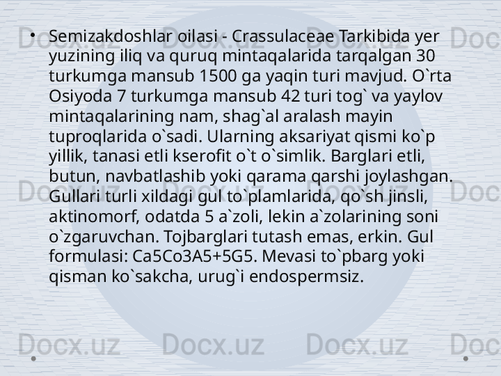 •
Semizakdoshlar oilasi - Crassulaceae Tarkibida yer 
yuzining iliq va quruq mintaqalarida tarqalgan 30 
turkumga mansub 1500 ga yaqin turi mavjud. O`rta 
Osiyoda 7 turkumga mansub 42 turi tog` va yaylov 
mintaqalarining nam, shag`al aralash mayin 
tuproqlarida o`sadi. Ularning aksariyat qismi ko`p 
yillik, tanasi etli kserofit o`t o`simlik. Barglari etli, 
butun, navbatlashib yoki qarama qarshi joylashgan. 
Gullari turli xildagi gul to`plamlarida, qo`sh jinsli, 
aktinomorf, odatda 5 a`zoli, lekin a`zolarining soni 
o`zgaruvchan. Tojbarglari tutash emas, erkin. Gul 
formulasi: Ca5Co3A5+5G5. Mevasi to`pbarg yoki 
qisman ko`sakcha, urug`i endospermsiz.