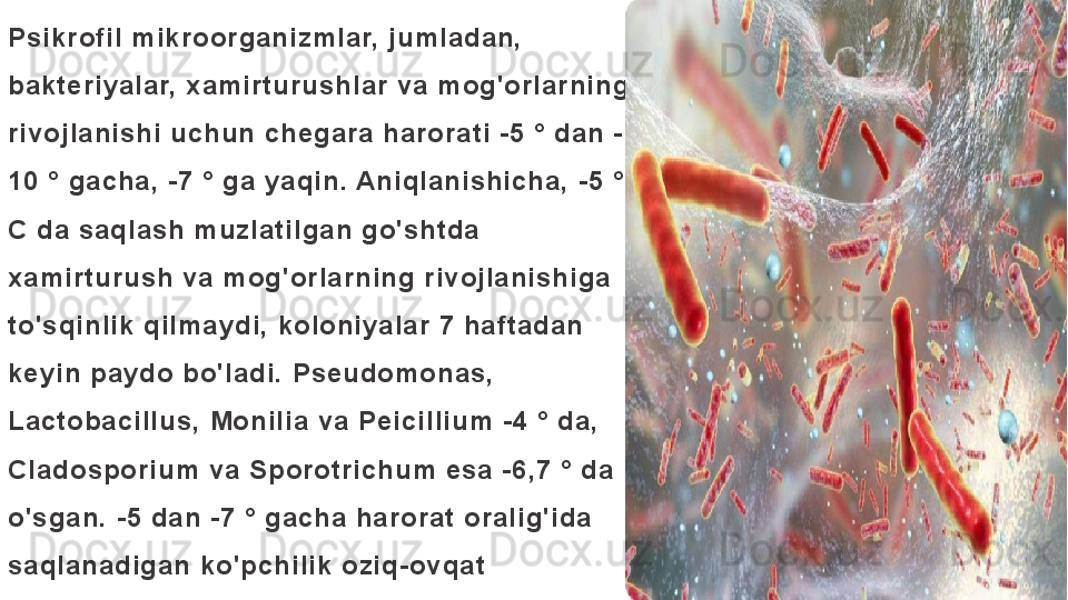 Psikrofil mikroorganizmlar, jumladan, 
bakteriyalar, xamirturushlar va mog'orlarning 
rivojlanishi uchun chegara harorati -5 ° dan -
10 ° gacha, -7 ° ga yaqin. Aniqlanishicha, -5 ° 
C da saqlash muzlatilgan go'shtda 
xamirturush va mog'orlarning rivojlanishiga 
to'sqinlik qilmaydi, koloniyalar 7 haftadan 
keyin paydo bo'ladi. Pseudomonas, 
Lactobacillus, Monilia va Peicillium -4 ° da, 
Cladosporium va Sporotrichum esa -6,7 ° da 
o'sgan. -5 dan -7 ° gacha harorat oralig'ida 
saqlanadigan ko'pchilik oziq-ovqat 
mahsulotlarini muzlatilgan deb hisoblash 
mumkin (ya'ni, mikroblarning ko'payishini 
qo'llab-quvvatlash uchun suyuqlik fazasi 
mavjud emas). 