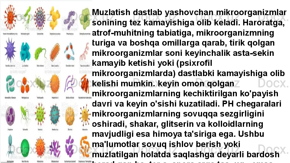 Muzlatish dastlab yashovchan mikroorganizmlar 
sonining tez kamayishiga olib keladi. Haroratga, 
atrof-muhitning tabiatiga, mikroorganizmning 
turiga va boshqa omillarga qarab, tirik qolgan 
mikroorganizmlar soni keyinchalik asta-sekin 
kamayib ketishi yoki (psixrofil 
mikroorganizmlarda) dastlabki kamayishiga olib 
kelishi mumkin. keyin omon qolgan 
mikroorganizmlarning kechiktirilgan ko'payish 
davri va keyin o'sishi kuzatiladi. PH chegaralari 
mikroorganizmlarning sovuqqa sezgirligini 
oshiradi, shakar, glitserin va kolloidlarning 
mavjudligi esa himoya ta'siriga ega. Ushbu 
ma'lumotlar sovuq ishlov berish yoki 
muzlatilgan holatda saqlashga deyarli bardosh 
beradigan bakterial sporalarga taalluqli emas. 