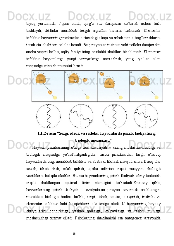 18tayoq   yordamida   o‘ljani   oladi,   qarg‘a   suv   darajasini   ko‘tarish   uchun   tosh
tashlaydi,   delfinlar   murakkab   belgili   signallar   tizimini   tushunadi.   Elementar
tafakkur hayvonning predmetlar o‘rtasidagi aloqa va sabab-natija bog‘lanishlarini
idrok eta olishidan dalolat beradi. Bu jarayonlar instinkt yoki refleks darajasidan
ancha yuqori bo‘lib, aqliy faoliyatning dastlabki shakllari hisoblanadi. Elementar
tafakkur   hayvonlarga   yangi   vaziyatlarga   moslashish,   yangi   yo‘llar   bilan
maqsadga erishish imkonini beradi.
1.1.2-rasm  “Sezgi, idrok va refleks: hayvonlarda psixik faoliyatning
biologik mexanizmi”
Hayvon   psixikasining   o‘ziga   xos   xususiyati   –   uning   moslashuvchanligi   va
biologik   maqsadga   yo‘naltirilganligidir.   Inson   psixikasidan   farqli   o‘laroq,
hayvonlarda ong, murakkab tafakkur va abstrakt fikrlash mavjud emas. Biroq ular
sezish,   idrok   etish,   eslab   qolish,   tajriba   orttirish   orqali   muayyan   ekologik
vazifalarni hal qila oladilar. Bu esa hayvonlarning psixik faoliyati tabiiy tanlanish
orqali   shakllangan   optimal   tizim   ekanligini   ko‘rsatadi.Shunday   qilib,
hayvonlarning   psixik   faoliyati   –   evolyutsion   jarayon   davomida   shakllangan
murakkab   biologik   hodisa   bo‘lib,   sezgi,   idrok,   xotira,   o‘rganish,   instinkt   va
elementar   tafakkur   kabi   bosqichlarni   o‘z   ichiga   oladi.   U   hayvonning   hayotiy
ehtiyojlarini   qondirishga,   yashab   qolishga,   ko‘payishga   va   tashqi   muhitga
moslashishga   xizmat   qiladi.   Psixikaning   shakllanishi   esa   ontogenez   jarayonida 