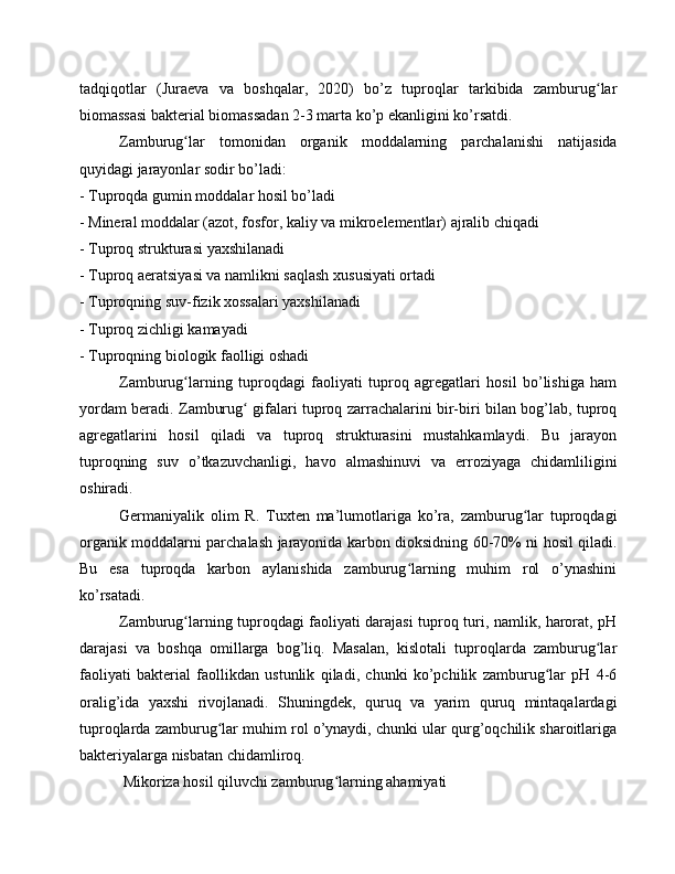 tadqiqotlar   (Juraeva   va   boshqalar,   2020)   bo’z   tuproqlar   tarkibida   zamburug larʻ
biomassasi bakterial biomassadan 2-3 marta ko’p ekanligini ko’rsatdi.
Zamburug lar   tomonidan   organik   moddalarning   parchalanishi   natijasida	
ʻ
quyidagi jarayonlar sodir bo’ladi:
- Tuproqda gumin moddalar hosil bo’ladi
- Mineral moddalar (azot, fosfor, kaliy va mikroelementlar) ajralib chiqadi
- Tuproq strukturasi yaxshilanadi
- Tuproq aeratsiyasi va namlikni saqlash xususiyati ortadi
- Tuproqning suv-fizik xossalari yaxshilanadi
- Tuproq zichligi kamayadi
- Tuproqning biologik faolligi oshadi
Zamburug larning   tuproqdagi   faoliyati   tuproq   agregatlari   hosil   bo’lishiga   ham
ʻ
yordam beradi. Zamburug  gifalari tuproq zarrachalarini bir-biri bilan bog’lab, tuproq	
ʻ
agregatlarini   hosil   qiladi   va   tuproq   strukturasini   mustahkamlaydi.   Bu   jarayon
tuproqning   suv   o’tkazuvchanligi,   havo   almashinuvi   va   erroziyaga   chidamliligini
oshiradi.
Germaniyalik   olim   R.   Tuxten   ma’lumotlariga   ko’ra,   zamburug lar   tuproqdagi	
ʻ
organik moddalarni parchalash jarayonida karbon dioksidning 60-70% ni hosil qiladi.
Bu   esa   tuproqda   karbon   aylanishida   zamburug larning   muhim   rol   o’ynashini	
ʻ
ko’rsatadi.
Zamburug larning tuproqdagi faoliyati darajasi tuproq turi, namlik, harorat, pH	
ʻ
darajasi   va   boshqa   omillarga   bog’liq.   Masalan,   kislotali   tuproqlarda   zamburug lar	
ʻ
faoliyati   bakterial   faollikdan   ustunlik   qiladi,   chunki   ko’pchilik   zamburug lar   pH   4-6	
ʻ
oralig’ida   yaxshi   rivojlanadi.   Shuningdek,   quruq   va   yarim   quruq   mintaqalardagi
tuproqlarda zamburug lar muhim rol o’ynaydi, chunki ular qurg’oqchilik sharoitlariga	
ʻ
bakteriyalarga nisbatan chidamliroq.
 Mikoriza hosil qiluvchi zamburug larning ahamiyati	
ʻ 