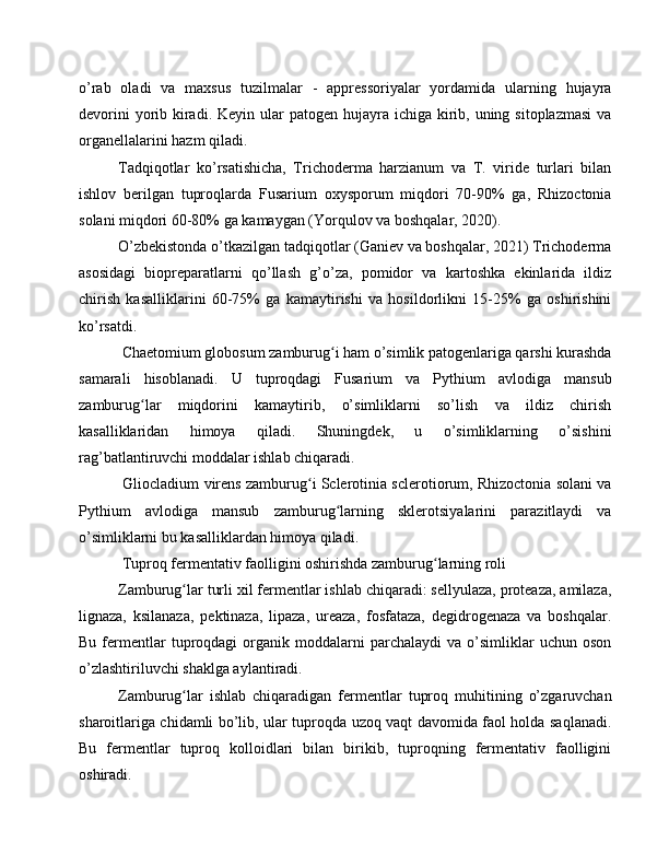 o’rab   oladi   va   maxsus   tuzilmalar   -   appressoriyalar   yordamida   ularning   hujayra
devorini  yorib kiradi. Keyin  ular  patogen  hujayra ichiga  kirib, uning sitoplazmasi  va
organellalarini hazm qiladi.
Tadqiqotlar   ko’rsatishicha,   Trichoderma   harzianum   va   T.   viride   turlari   bilan
ishlov   berilgan   tuproqlarda   Fusarium   oxysporum   miqdori   70-90%   ga,   Rhizoctonia
solani miqdori 60-80% ga kamaygan (Yorqulov va boshqalar, 2020).
O’zbekistonda o’tkazilgan tadqiqotlar (Ganiev va boshqalar, 2021) Trichoderma
asosidagi   biopreparatlarni   qo’llash   g’o’za,   pomidor   va   kartoshka   ekinlarida   ildiz
chirish   kasalliklarini   60-75%   ga   kamaytirishi   va   hosildorlikni   15-25%   ga   oshirishini
ko’rsatdi.
 Chaetomium globosum zamburug i ham o’simlik patogenlariga qarshi kurashdaʻ
samarali   hisoblanadi.   U   tuproqdagi   Fusarium   va   Pythium   avlodiga   mansub
zamburug lar   miqdorini   kamaytirib,   o’simliklarni   so’lish   va   ildiz   chirish	
ʻ
kasalliklaridan   himoya   qiladi.   Shuningdek,   u   o’simliklarning   o’sishini
rag’batlantiruvchi moddalar ishlab chiqaradi.
 Gliocladium virens zamburug i Sclerotinia sclerotiorum, Rhizoctonia solani va	
ʻ
Pythium   avlodiga   mansub   zamburug larning   sklerotsiyalarini   parazitlaydi   va	
ʻ
o’simliklarni bu kasalliklardan himoya qiladi.
 Tuproq fermentativ faolligini oshirishda zamburug larning roli	
ʻ
Zamburug lar turli xil fermentlar ishlab chiqaradi: sellyulaza, proteaza, amilaza,	
ʻ
lignaza,   ksilanaza,   pektinaza,   lipaza,   ureaza,   fosfataza,   degidrogenaza   va   boshqalar.
Bu   fermentlar   tuproqdagi   organik  moddalarni   parchalaydi   va   o’simliklar   uchun  oson
o’zlashtiriluvchi shaklga aylantiradi. 
Zamburug lar   ishlab   chiqaradigan   fermentlar   tuproq   muhitining   o’zgaruvchan
ʻ
sharoitlariga chidamli bo’lib, ular tuproqda uzoq vaqt davomida faol holda saqlanadi.
Bu   fermentlar   tuproq   kolloidlari   bilan   birikib,   tuproqning   fermentativ   faolligini
oshiradi. 