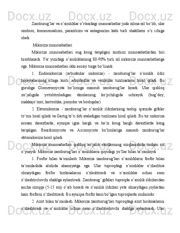 Zamburug lar va o’simliklar o’rtasidagi munosabatlar juda xilma-xil bo’lib, ularʻ
simbioz,   kommensalizm,   parazitizm   va   antagonizm   kabi   turli   shakllarni   o’z   ichiga
oladi.
 Mikoriza munosabatlari
Mikoriza   munosabatlari   eng   keng   tarqalgan   simbioz   munosabatlardan   biri
hisoblanadi.  Yer  yuzidagi   o’simliklarning  80-90%  turli  xil   mikoriza  munosabatlariga
ega. Mikoriza munosabatlari ikki asosiy turga bo’linadi:
1.   Endomikoriza   (arbuskular   mikoriza)   -   zamburug lar   o’simlik   ildiz	
ʻ
hujayralarining   ichiga   kirib,   arbuskullar   va   vezikular   tuzilmalarni   hosil   qiladi.   Bu
guruhga   Glomeromycota   bo’limiga   mansub   zamburug lar   kiradi.   Ular   qishloq	
ʻ
xo’jaligida   yetishtiriladigan   ekinlarning   ko’pchiligida   uchraydi   (bug’doy,
makkajo’xori, kartoshka, pomidor va boshqalar).
2.   Ektomikoriza   -   zamburug lar   o’simlik   ildizlarining   tashqi   qismida   gifalar	
ʻ
to’rini hosil qiladi va Gartig to’ri deb ataladigan tuzilmani hosil qiladi. Bu tur mikoriza
asosan   daraxtlarda,   ayniqsa   igna   bargli   va   ba’zi   keng   bargli   daraxtlarda   keng
tarqalgan.   Basidiomycota   va   Ascomycota   bo’limlariga   mansub   zamburug lar	
ʻ
ektomikoriza hosil qiladi.
Mikoriza   munosabatlari   qishloq   xo’jalik   ekinlarining   oziqlanishida   muhim   rol
o’ynaydi. Mikoriza zamburug lari o’simliklarni quyidagi yo’llar bilan ta’minlaydi:	
ʻ
1.   Fosfor   bilan   ta’minlash.   Mikoriza   zamburug lari   o’simliklarni   fosfor   bilan	
ʻ
ta’minlashda   alohida   ahamiyatga   ega.   Ular   tuproqdagi   o’simliklar   o’zlashtira
olmaydigan   fosfor   birikmalarini   o’zlashtiradi   va   o’simliklar   uchun   oson
o’zlashtiriluvchi shaklga aylantiradi. Zamburug  gifalari tuproqda o’simlik ildizlaridan	
ʻ
ancha uzoqqa  (5-15 sm)  o’sib  boradi  va  o’simlik ildizlari  yeta olmaydigan joylardan
ham fosforni o’zlashtiradi. Bu ayniqsa fosfor kam bo’lgan tuproqlarda muhimdir.
2. Azot bilan ta’minlash. Mikoriza zamburug lari tuproqdagi azot birikmalarini	
ʻ
o’zlashtiradi   va   o’simliklar   uchun   oson   o’zlashtiriluvchi   shaklga   aylantiradi.   Ular 
