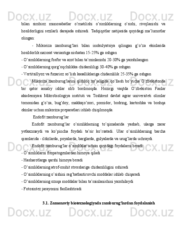 bilan   simbioz   munosabatlar   o’rnatilishi   o’simliklarning   o’sishi,   rivojlanishi   va
hosildorligini  sezilarli   darajada   oshiradi.  Tadqiqotlar  natijasida   quyidagi   ma’lumotlar
olingan:
-   Mikoriza   zamburug lari   bilan   inokulyatsiya   qilingan   g’o’za   ekinlaridaʻ
hosildorlik nazorat variantiga nisbatan 15-25% ga oshgan
- O’simliklarning fosfor va azot bilan ta’minlanishi 20-30% ga yaxshilangan
- O’simliklarning qurg’oqchilikka chidamliligi 30-40% ga oshgan
- Vertitsillyoz va fuzarioz so’lish kasalliklariga chidamlilik 25-35% ga oshgan
Mikoriza   zamburug larini   qishloq   xo’jaligida   qo’llash   bo’yicha   O’zbekistonda	
ʻ
bir   qator   amaliy   ishlar   olib   borilmoqda.   Hozirgi   vaqtda   O’zbekiston   Fanlar
akademiyasi   Mikrobiologiya   instituti   va   Toshkent   davlat   agrar   universiteti   olimlar
tomonidan   g’o’za,   bug’doy,   makkajo’xori,   pomidor,   bodring,   kartoshka   va   boshqa
ekinlar uchun mikoriza preparatlari ishlab chiqilmoqda.
 Endofit zamburug lar
ʻ
Endofit   zamburug lar   o’simliklarning   to’qimalarida   yashab,   ularga   zarar
ʻ
yetkazmaydi   va   ko’pincha   foydali   ta’sir   ko’rsatadi.   Ular   o’simliklarning   barcha
qismlarida - ildizlarda, poyalarda, barglarda, gulyalarda va urug’larda uchraydi.
Endofit zamburug lar o’simliklar uchun quyidagi foydalarni beradi:
ʻ
- O’simliklarni fitopatogenlardan himoya qiladi
- Hasharotlarga qarshi himoya beradi
- O’simliklarning atrof-muhit stresslariga chidamliligini oshiradi
- O’simliklarning o’sishini rag’batlantiruvchi moddalar ishlab chiqaradi
- O’simliklarning ozuqa moddalar bilan ta’minlanishini yaxshilaydi
- Fotosintez jarayonini faollashtiradi
3.1. Zamonaviy biotexnologiyada zamburug lardan foydalanish	
ʻ 