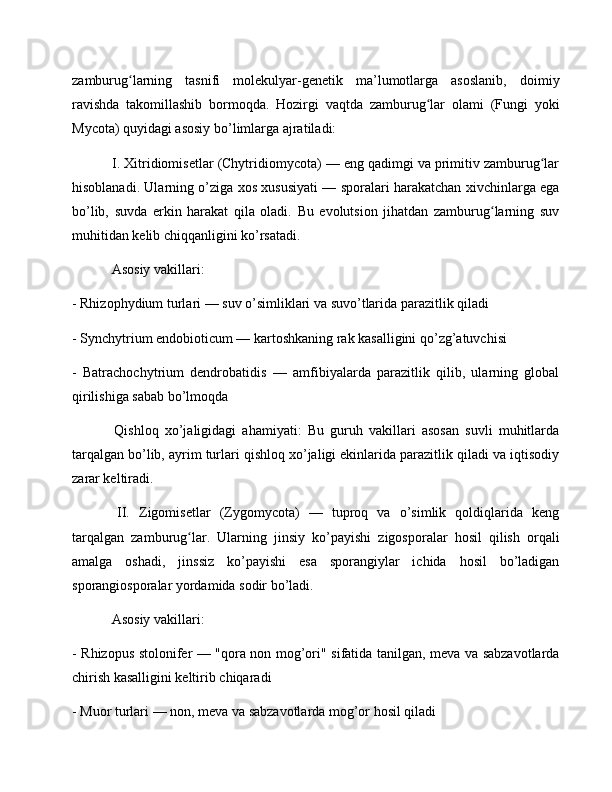 zamburug larning   tasnifi   molekulyar-genetik   ma’lumotlarga   asoslanib,   doimiyʻ
ravishda   takomillashib   bormoqda.   Hozirgi   vaqtda   zamburug lar   olami   (Fungi   yoki	
ʻ
Mycota) quyidagi asosiy bo’limlarga ajratiladi:
 I. Xitridiomisetlar (Chytridiomycota) — eng qadimgi va primitiv zamburug lar	
ʻ
hisoblanadi. Ularning o’ziga xos xususiyati — sporalari harakatchan xivchinlarga ega
bo’lib,   suvda   erkin   harakat   qila   oladi.   Bu   evolutsion   jihatdan   zamburug larning   suv	
ʻ
muhitidan kelib chiqqanligini ko’rsatadi.
 Asosiy vakillari: 
- Rhizophydium turlari — suv o’simliklari va suvo’tlarida parazitlik qiladi
- Synchytrium endobioticum — kartoshkaning rak kasalligini qo’zg’atuvchisi
-   Batrachochytrium   dendrobatidis   —   amfibiyalarda   parazitlik   qilib,   ularning   global
qirilishiga sabab bo’lmoqda
  Qishloq   xo’jaligidagi   ahamiyati:   Bu   guruh   vakillari   asosan   suvli   muhitlarda
tarqalgan bo’lib, ayrim turlari qishloq xo’jaligi ekinlarida parazitlik qiladi va iqtisodiy
zarar keltiradi.
  II.   Zigomisetlar   (Zygomycota)   —   tuproq   va   o’simlik   qoldiqlarida   keng
tarqalgan   zamburug lar.   Ularning   jinsiy   ko’payishi   zigosporalar   hosil   qilish   orqali	
ʻ
amalga   oshadi,   jinssiz   ko’payishi   esa   sporangiylar   ichida   hosil   bo’ladigan
sporangiosporalar yordamida sodir bo’ladi.
 Asosiy vakillari: 
- Rhizopus stolonifer — "qora non mog’ori" sifatida tanilgan, meva va sabzavotlarda
chirish kasalligini keltirib chiqaradi
- Muor turlari — non, meva va sabzavotlarda mog’or hosil qiladi 