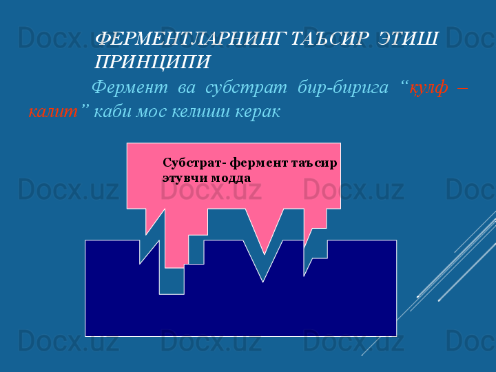 ФЕРМЕНТЛАРНИНГ ТАЪСИР	  ЭТИШ	 
ПРИНЦИПИ	
 
            Фермент  ва   субстрат  бир-бирига  “ қулф  –  
калит ” каби мос келиши керак 
  Субстрат-  фермент таъсир
  этувчи модда 