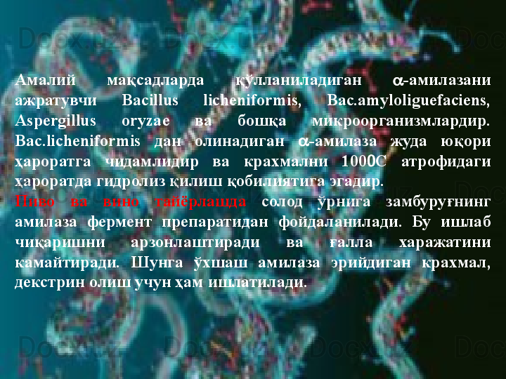 АМАЛИЁТДА ҚЎЛЛАНИЛИШИ  
Ам ила з алар
Амалий  мақсадларда  қўлланиладиган   -амилазани 
ажратувчи  Bacillus  licheniformis,  Bac.amyloliguefaciens, 
Aspergillus  oryzae  ва  бошқа  микроорганизмлардир. 
Bac.licheniformis  дан  олинадиган   -амилаза  жуда  юқори 
ҳароратга  чидамлидир  ва  крахмални  100  С  атрофидаги 
ҳароратда гидролиз қилиш қобилиятига эгадир. 
Пиво  ва  вино  тайёрлашда   солод  ўрнига  замбуруғнинг 
амилаза  фермент  препаратидан  фойдаланилади.  Бу  ишлаб 
чиқаришни  арзонлаштиради  ва  ғалла  харажатини 
камайтиради.  Шунга  ўхшаш  амилаза  эрийдиган  крахмал, 
декстрин олиш учун ҳам ишлатилади.  