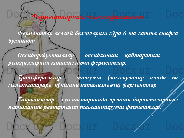           Ферментларнинг	 классификацияси.
Ферментлар	
 асосий	 белгиларига	 кўра	 6  	та	 катта  	синфга	 
бўлинади:
Оксидоредуктазалар	
   	-  оксидланиш	 - қайтарилиш	         
реакцияларини	
 катализловчи	 ферментлар.
 
Трансферазалар	
 	–	 	ташувчи  	(молекулалар	 	ичида	 	ва	 
молекулалараро	
  кўчишни	 катализловчи)  	ферментлар.
 
Гидролазалар	
 –	 сув	 иштирокида	 органик	 бирикмаларнинг	 
парчаланиш	
 реакциясини	 тезлаштирувчи	 ферментлар. 