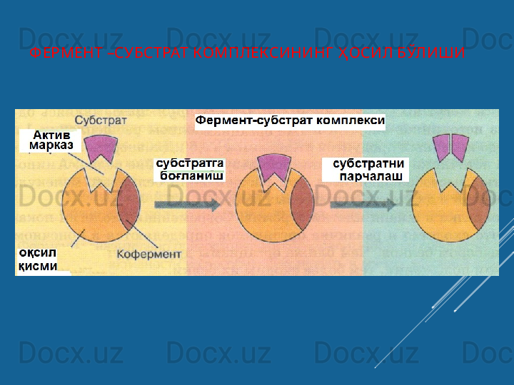 Ф ЕРМЕНТ –СУБСТРАТ КОМПЛЕКСИНИНГ  Ҳ ОСИЛ БЎЛИШИ 