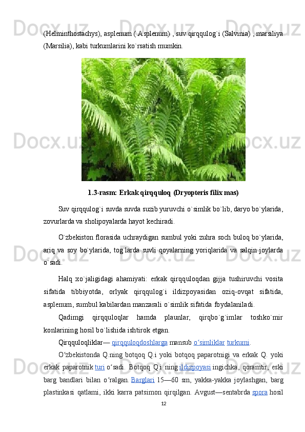 (Helminthostachys), asplenum ( Asplenum) , suv qirqqulog`i (Salvinia) , marsiliya
(Marsilia), kabi turkumlarini ko`rsatish mumkin.
1.3-rasm: Erkak qirqquloq (Dryopteris filix mas)
Suv qirqqulog`i suvda suvda suzib yuruvchi o`simlik bo`lib, daryo bo`ylarida,
zovurlarda va sholipoyalarda hayot kechiradi.
O`zbekiston florasida uchraydigan sumbul yoki zuhra soch buloq bo`ylarida,
ariq   va   soy   bo`ylarida,   tog`larda   suvli   qoyalarning   yoriqlarida   va   salqin   joylarda
o`sadi.
Halq   xo`jaligidagi   ahamiyati:   erkak   qirqquloqdan   gijja   tushiruvchi   vosita
sifatida   tibbiyotda,   orlyak   qirqqulog`i   ildizpoyasidan   oziq-ovqat   sifatida,
asplenum, sumbul kabilardan manzarali o`simlik sifatida foydalaniladi.
Qadimgi   qirqquloqlar   hamda   plaunlar,   qirqbo`g`imlar   toshko`mir
konlarining hosil bo`lishida ishtirok etgan.
Qirqquloqliklar —   qirqquloqdoshlarga   mansub   o simliklarʻ   turkumi .
O zbekistonda   Q.ning   botqoq   Q.i   yoki   botqoq   paparotnigi   va   erkak   Q.   yoki	
ʻ
erkak   paparotnik   turi   o sadi.   Botqoq   Q.i   ning	
ʻ   ildizpoyasi   ingichka,   qoramtir,   eski
barg   bandlari   bilan   o ralgan.
ʻ   Barglari   15—60   sm,   yakka-yakka   joylashgan,   barg
plastinkasi   qatlami,   ikki   karra   patsimon   qirqilgan.   Avgust—sentabrda   spora   hosil
12 