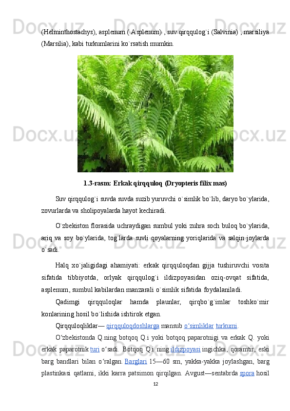 (Helminthostachys), asplenum ( Asplenum) , suv qirqqulog`i (Salvinia) , marsiliya
(Marsilia), kabi turkumlarini ko`rsatish mumkin.
1.3-rasm: Erkak qirqquloq (Dryopteris filix mas)
Suv qirqqulog`i suvda suvda suzib yuruvchi o`simlik bo`lib, daryo bo`ylarida,
zovurlarda va sholipoyalarda hayot kechiradi.
O`zbekiston florasida uchraydigan sumbul yoki zuhra soch buloq bo`ylarida,
ariq   va   soy   bo`ylarida,   tog`larda   suvli   qoyalarning   yoriqlarida   va   salqin   joylarda
o`sadi.
Halq   xo`jaligidagi   ahamiyati:   erkak   qirqquloqdan   gijja   tushiruvchi   vosita
sifatida   tibbiyotda,   orlyak   qirqqulog`i   ildizpoyasidan   oziq-ovqat   sifatida,
asplenum, sumbul kabilardan manzarali o`simlik sifatida foydalaniladi.
Qadimgi   qirqquloqlar   hamda   plaunlar,   qirqbo`g`imlar   toshko`mir
konlarining hosil bo`lishida ishtirok etgan.
Qirqquloqliklar —   qirqquloqdoshlarga   mansub   o simliklarʻ   turkumi .
O zbekistonda   Q.ning   botqoq   Q.i   yoki   botqoq   paparotnigi   va   erkak   Q.   yoki	
ʻ
erkak   paparotnik   turi   o sadi.   Botqoq   Q.i   ning	
ʻ   ildizpoyasi   ingichka,   qoramtir,   eski
barg   bandlari   bilan   o ralgan.
ʻ   Barglari   15—60   sm,   yakka-yakka   joylashgan,   barg
plastinkasi   qatlami,   ikki   karra   patsimon   qirqilgan.   Avgust—sentabrda   spora   hosil
12