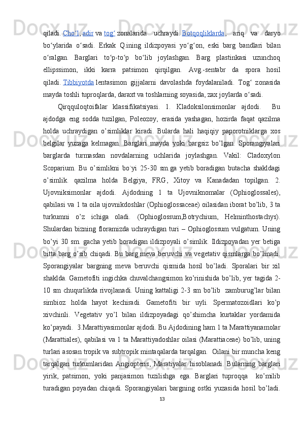 qiladi.   Cho lʻ ,   adir   va   tog	ʻ   zonalarida   uchraydi.   Botqoqliklarda ,   ariq   va   daryo
bo ylarida   o sadi.   Erkak   Q.ining   ildizpoyasi   yo g on,   eski   barg   bandlari   bilan	
ʻ ʻ ʻ ʻ
o ralgan.   Barglari   to p-to p   bo lib   joylashgan.   Barg   plastinkasi   uzunchoq
ʻ ʻ ʻ ʻ
ellipssimon,   ikki   karra   patsimon   qirqilgan.   Avg.-sentabr   da   spora   hosil
qiladi.   Tibbiyotda   lentasimon   gijjalarni   davolashda   foydalaniladi.   Tog   zonasida	
ʻ
mayda toshli tuproqlarda, daraxt va toshlarning soyasida, zax joylarda o sadi.
ʻ
Qirqquloqtoifalar   klassifikatsiyasi.   1.   Kladoksilonsimonlar   ajdodi.     Bu
ajdodga   eng   sodda   tuzilgan,   Poleozoy,   erasida   yashagan,   hozirda   faqat   qazilma
holda   uchraydigan   o’simliklar   kiradi.   Bularda   hali   haqiqiy   paporotniklarga   xos
belgilar   yuzaga   kelmagan.   Barglari   mayda   yoki   bargsiz   bo’lgan.   Sporangiyalari
barglarda   turmasdan   novdalarning   uchlarida   joylashgan.   Vakil:   Cladoxylon
Scoparium.   Bu   o’simlikni   bo`yi   25-30   sm.ga   yetib   boradigan   butacha   shakldagi
o’simlik.   qazilma   holda   Belgiya,   FRG,   Xitoy   va   Kanadadan   topilgan.   2.
Ujovniksimonlar   ajdodi.   Ajdodning   1   ta   Ujovniknomalar   (Ophioglossales),
qabilasi va 1 ta oila ujovnikdoshlar (Ophioglossaceae) oilasidan iborat bo’lib, 3 ta
turkumni   o’z   ichiga   oladi.   (Ophioglossum,Botrychium,   Helminthostachys).
Shulardan  bizning floramizda uchraydigan  turi   – Ophioglossum   vulgatum. Uning
bo’yi   30   sm.   gacha   yetib   boradigan   ildizpoyali   o’simlik.   Ildizpoyadan   yer   betiga
bitta barg o’sib chiqadi. Bu barg meva beruvchi va vegetativ qismlarga bo’linadi.
Sporangiyalar   bargning   meva   beruvchi   qismida   hosil   bo’ladi.   Sporalari   bir   xil
shaklda.  Gametofiti  ingichka chuvalchangsimon  ko’rinishida  bo’lib, yer  tagida 2-
10 sm  chuqurlikda rivojlanadi. Uning kattaligi 2-3 sm bo’lib   zamburug’lar bilan
simbioz   holda   hayot   kechiradi.   Gametofiti   bir   uyli.   Spermatozoidlari   ko’p
xivchinli.   Vegetativ   yo’l   bilan   ildizpoyadagi   qo’shimcha   kurtaklar   yordamida
ko’payadi.  3.Marattiyasimonlar ajdodi. Bu Ajdodining ham 1 ta Marattiyanamolar
(Marattiales), qabilasi va 1 ta Marattiyadoshlar oilasi (Marattiaceae) bo’lib, uning
turlari asosan tropik va subtropik mintaqalarda tarqalgan.  Oilani bir muncha keng
tarqalgan   turkumlaridan   Angiopteris,   Maratiyalar   hisoblanadi.   Bularning   barglari
yirik,   patsimon,   yoki   panjasimon   tuzilishga   ega.   Barglari   tuproqqa     ko’milib
turadigan   poyadan   chiqadi.   Sporangiyalari   bargning   ostki   yuzasida   hosil   bo’ladi.
13 